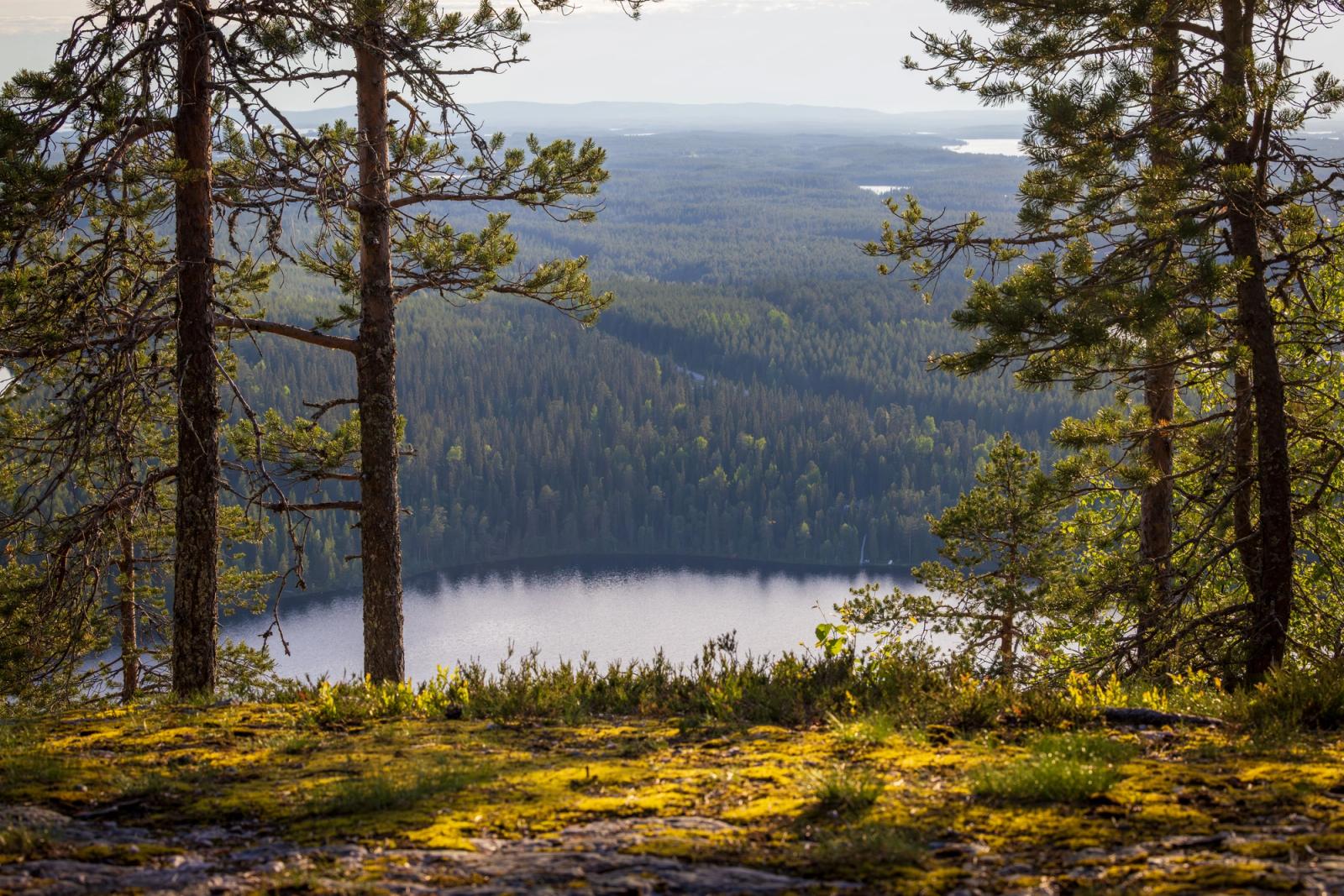 Breathtaking landscape view of Kuusamo's lush forests and serene lake at day