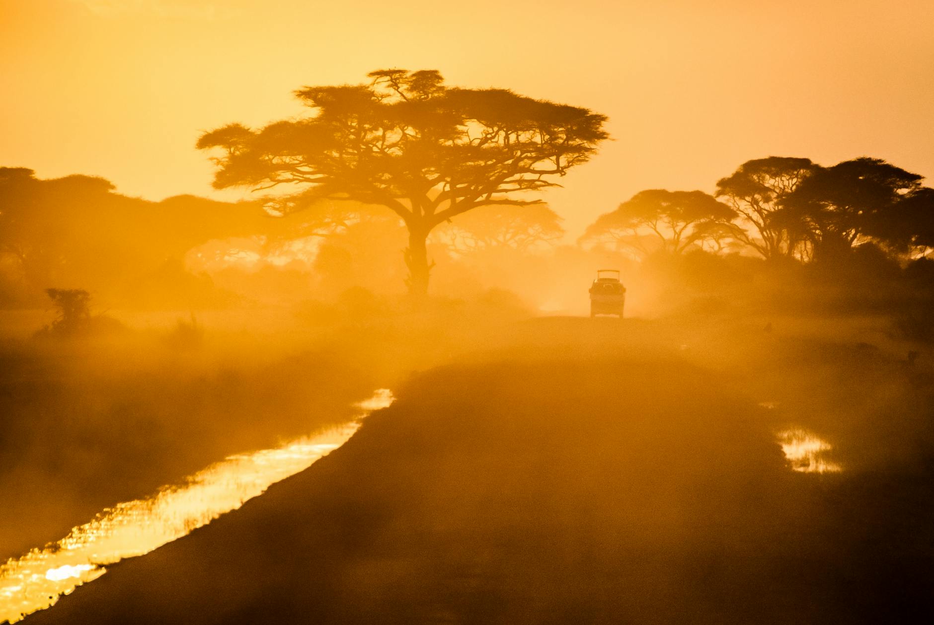 Kenyan Adventure: Samburu + Masai Mara