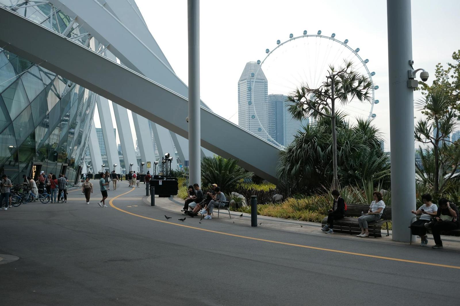 Day Free For Leisure on day 4, Singapore