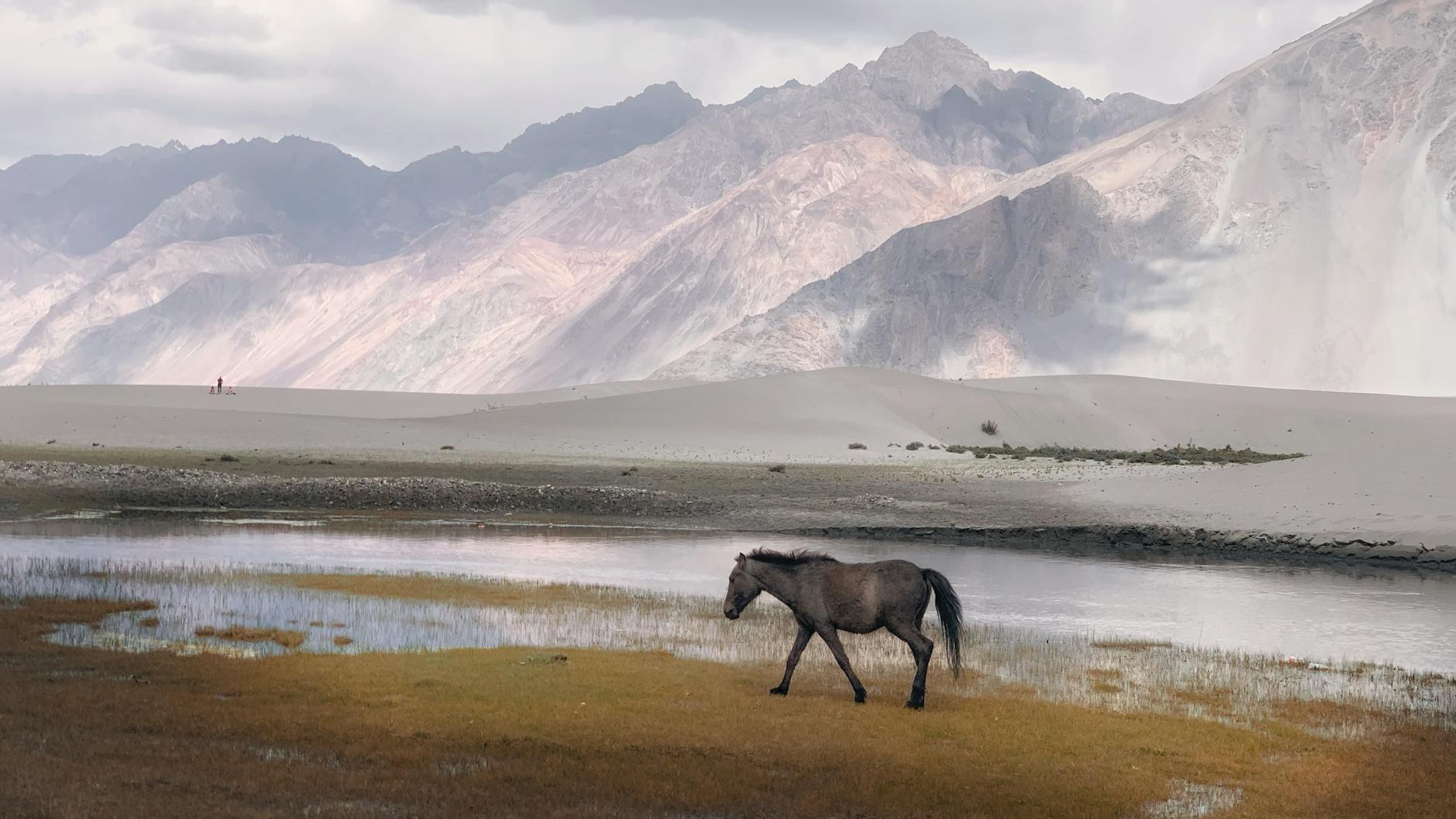 Nubra Valley on day 4, India