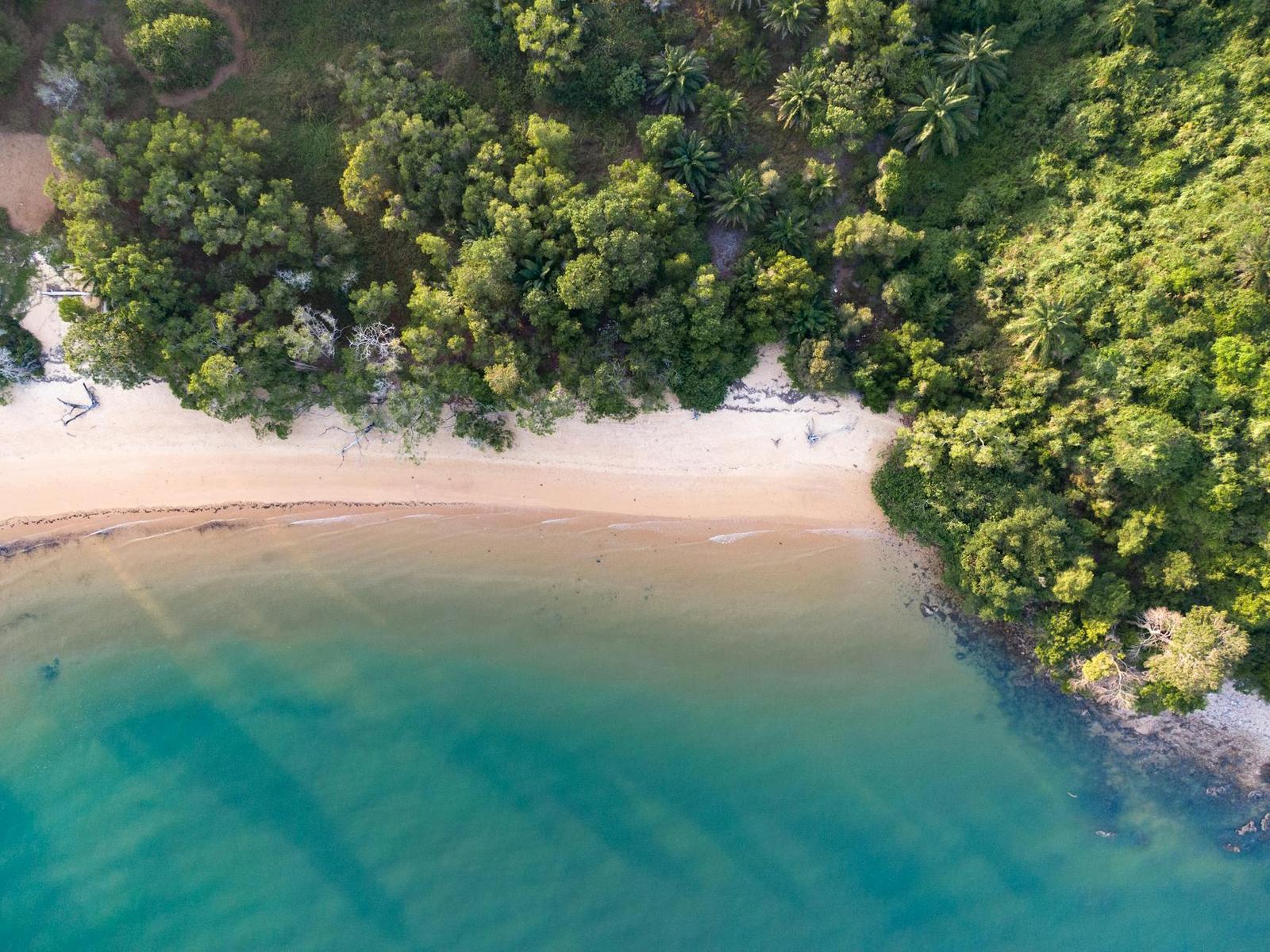 Aerial view of a palm-fringed sandy beach meeting turquoise shallows