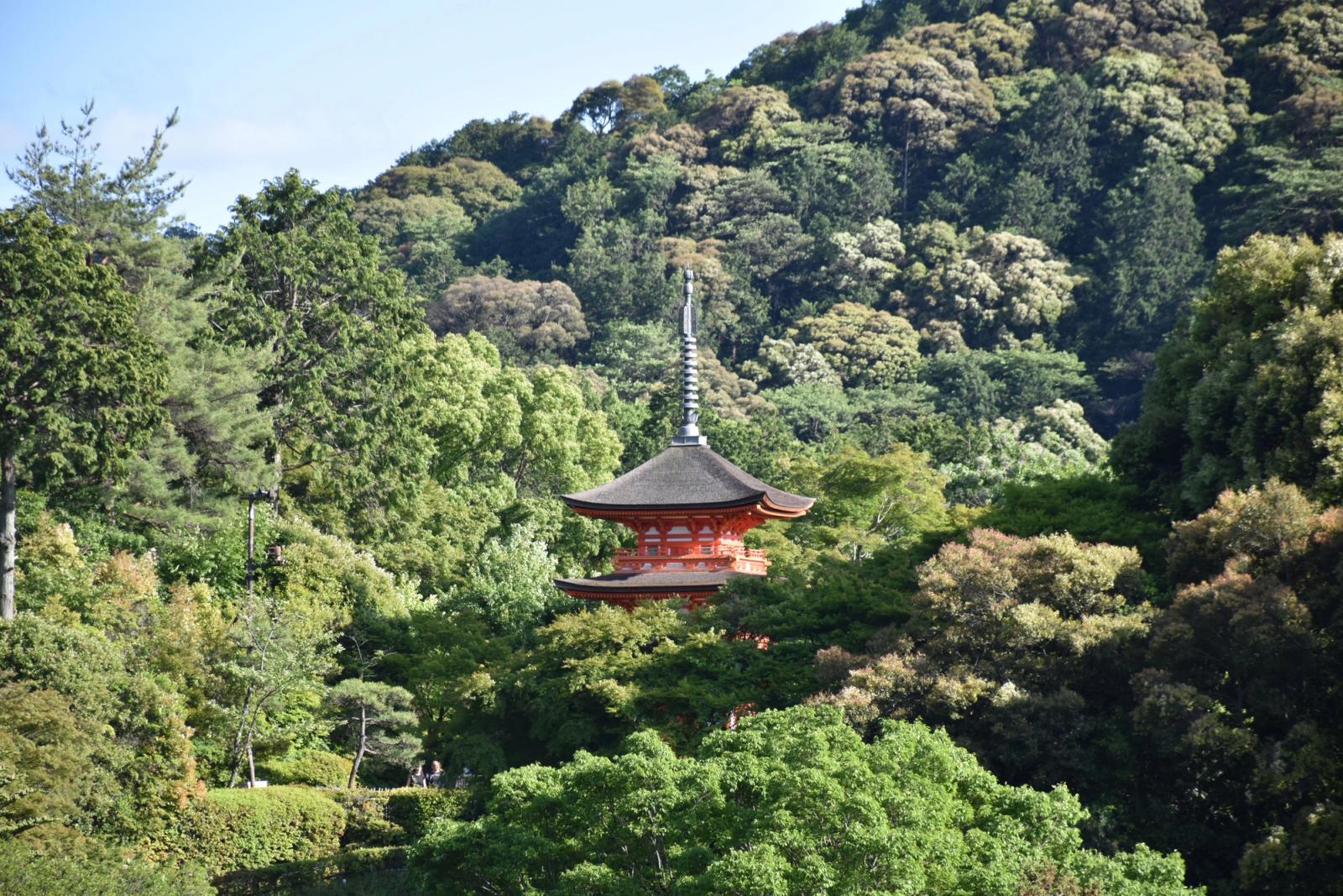 Beautiful pagoda surrounded by dense forest in Kyoto, Japan. Captures tranquility and nature's beauty