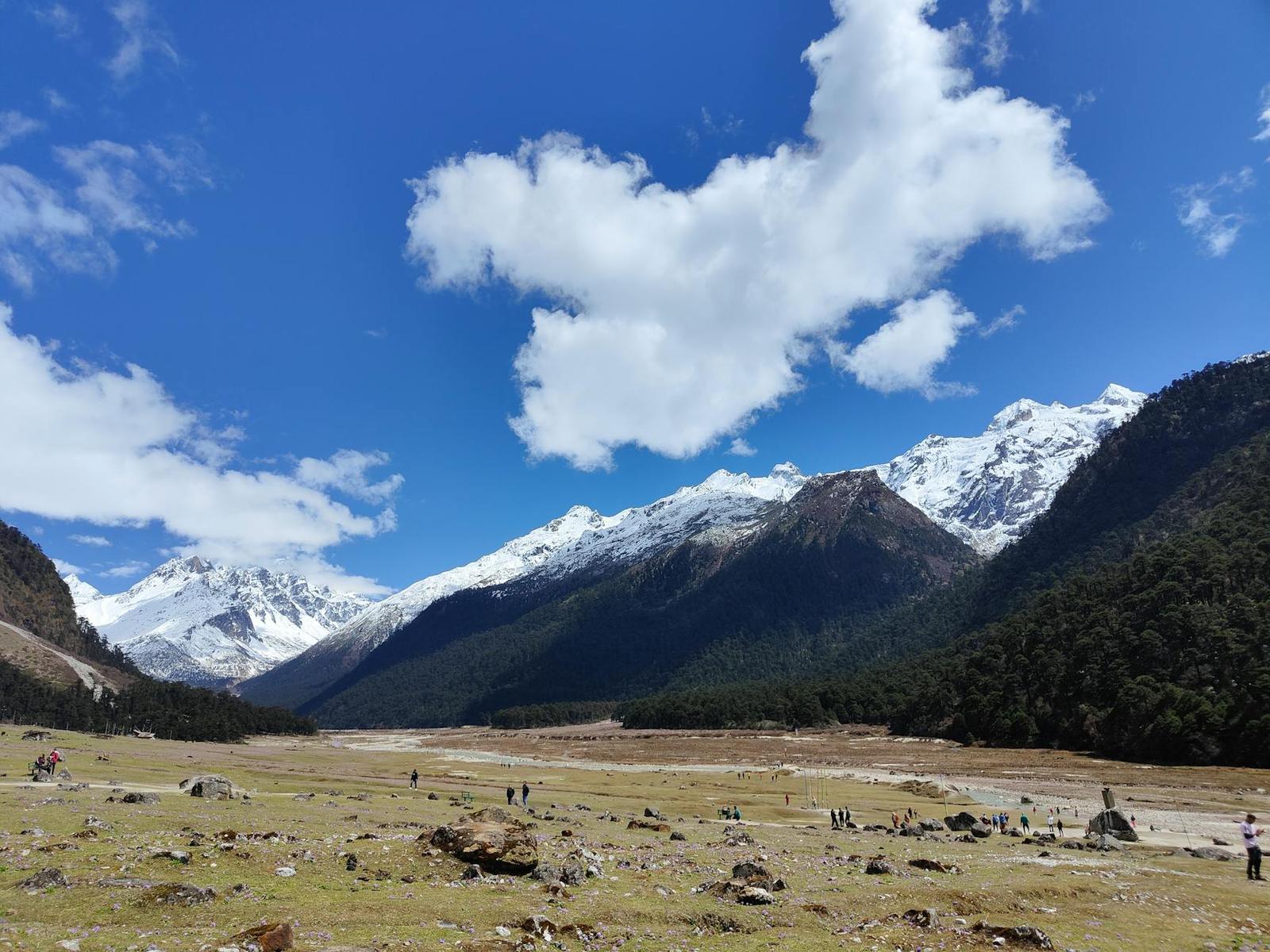 Yumthang Valley Of Flowers, India