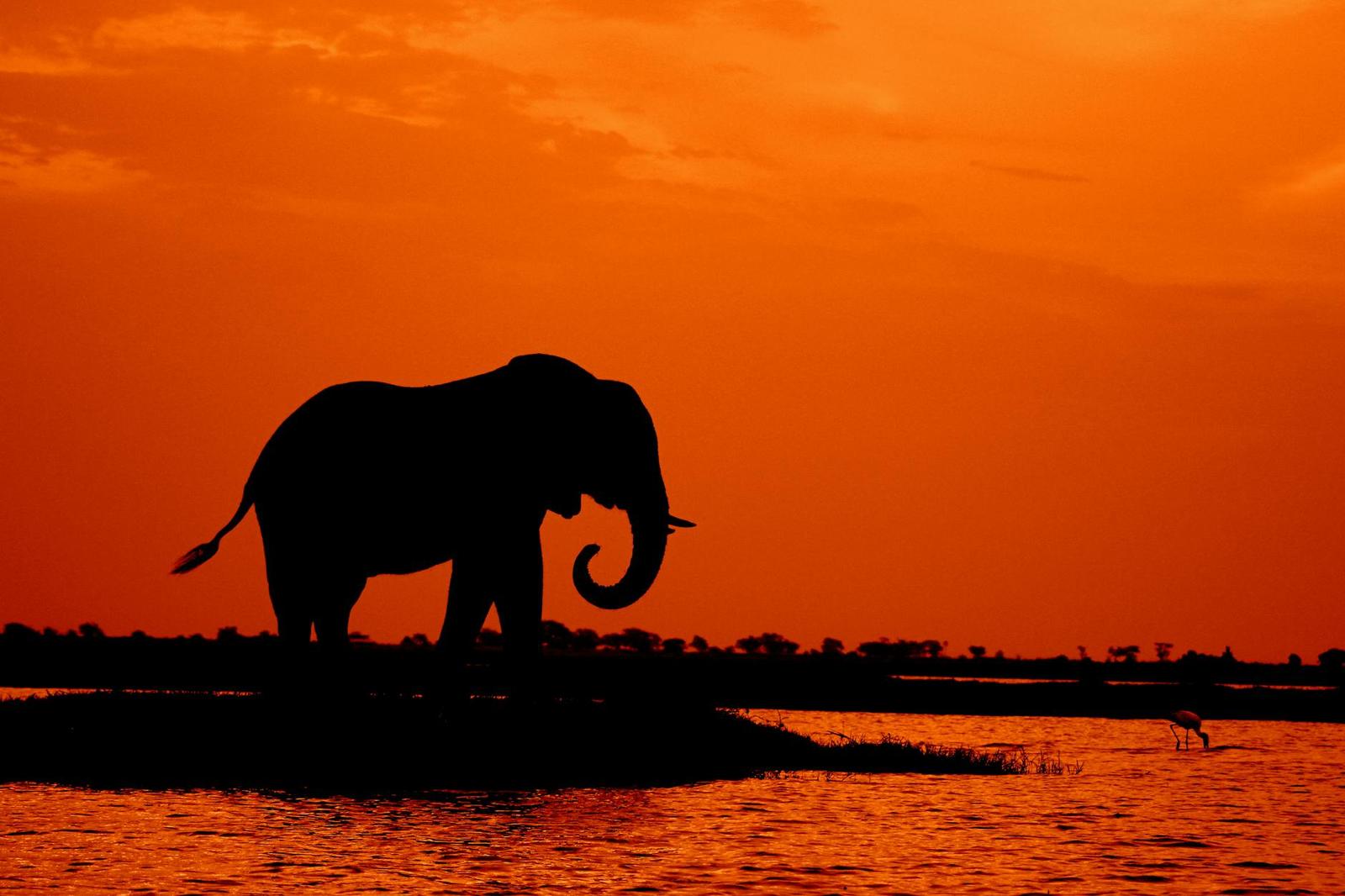 Botswana & Victoria Falls Safari