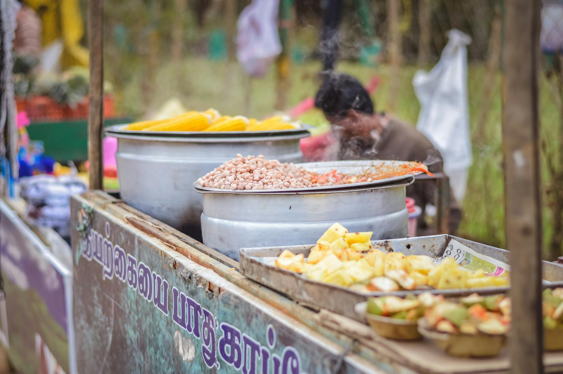 Traditional food of India