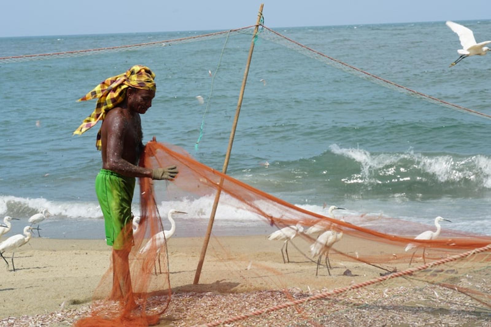 Sri Lankan stilt fishermen