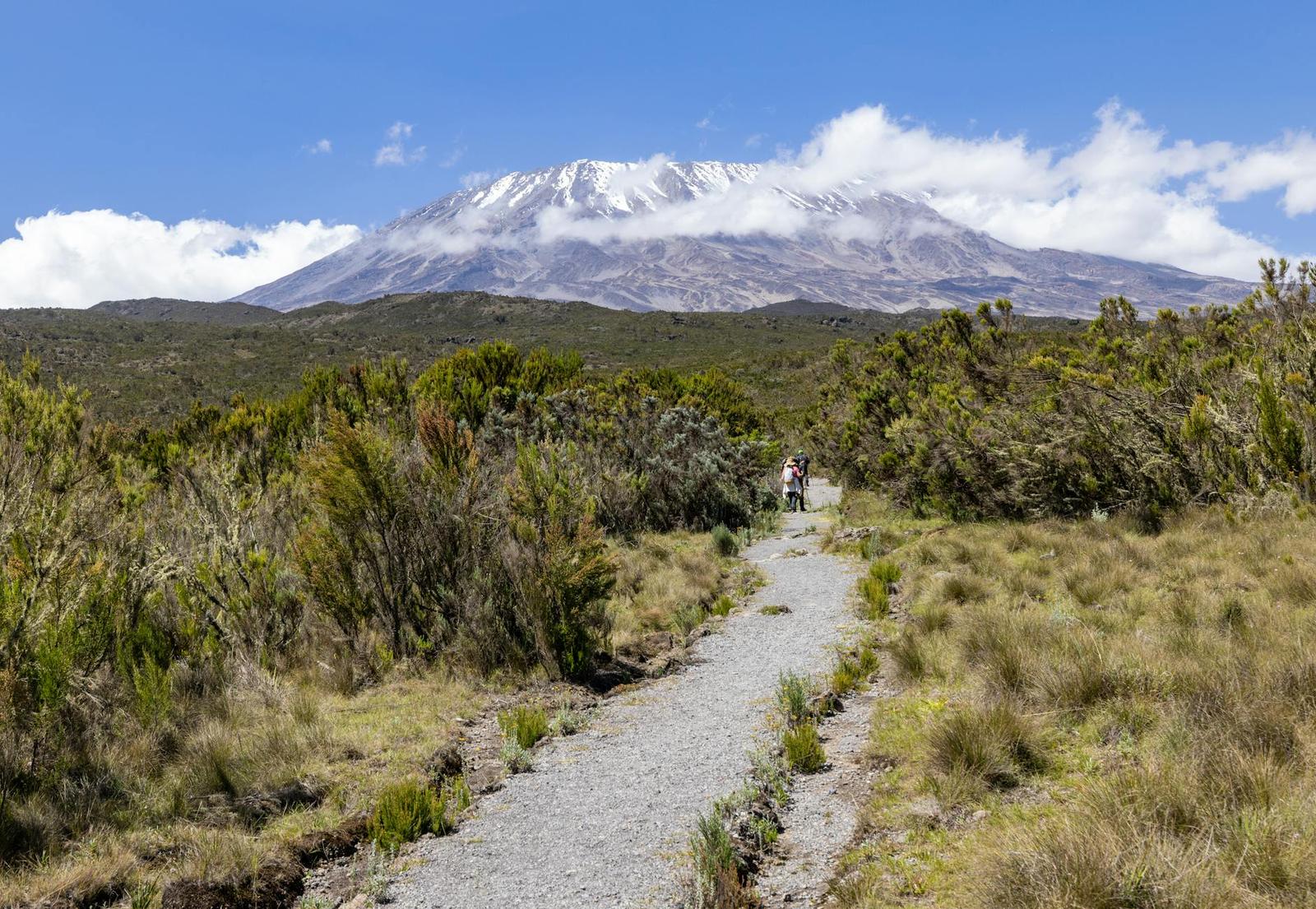 Kilimanjaro clear — Amboseli, Kenya