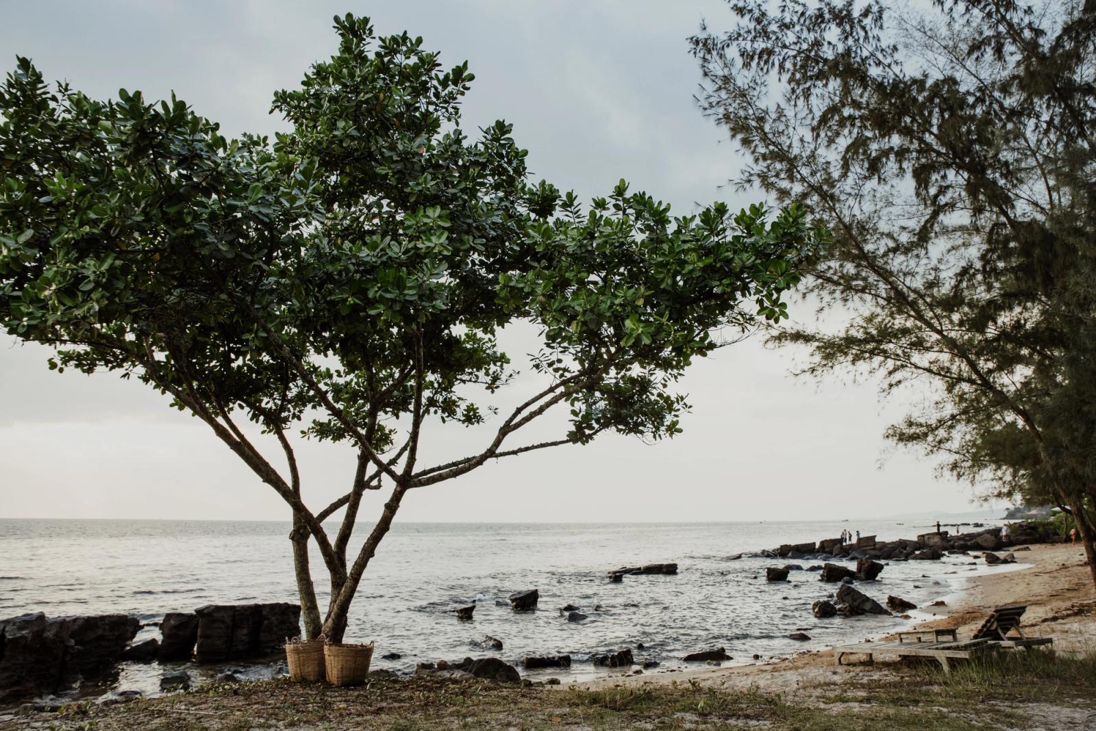 Serene beach with lush greenery and rocky shore in Phu Quoc, Vietnam