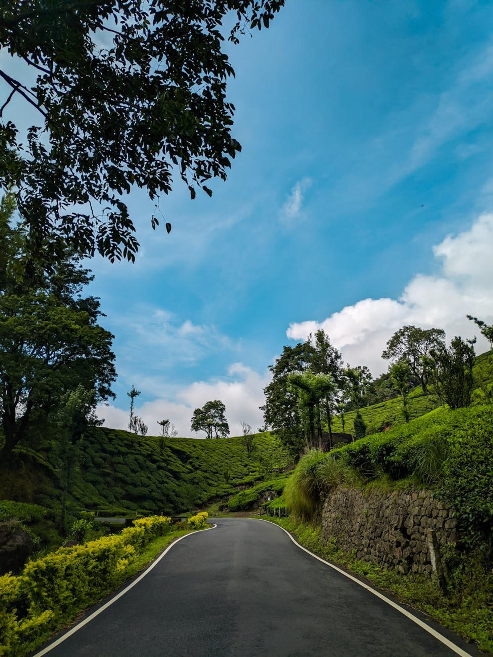 Discover the serene landscape of Munnar's lush green hills under a vibrant blue sky