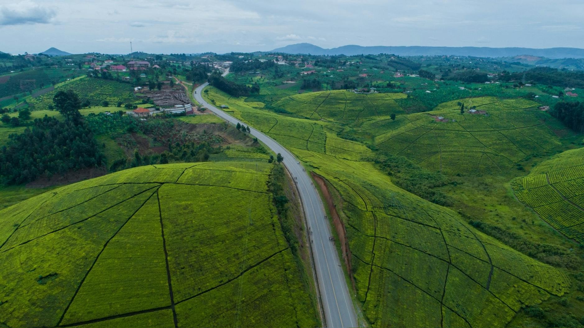 A road winding through rolling green farmland under an overcast sky