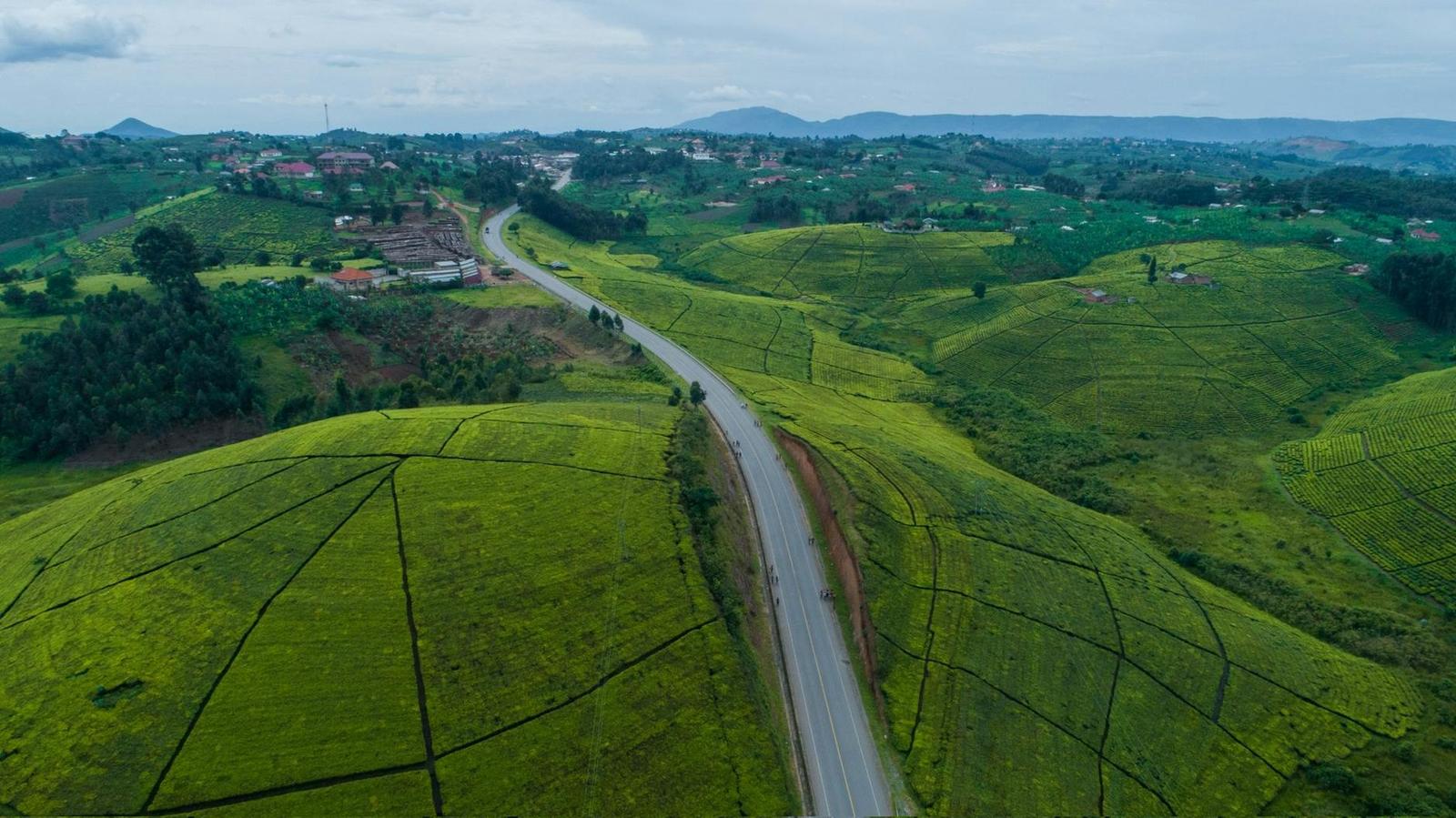 A road winding through rolling green farmland under an overcast sky