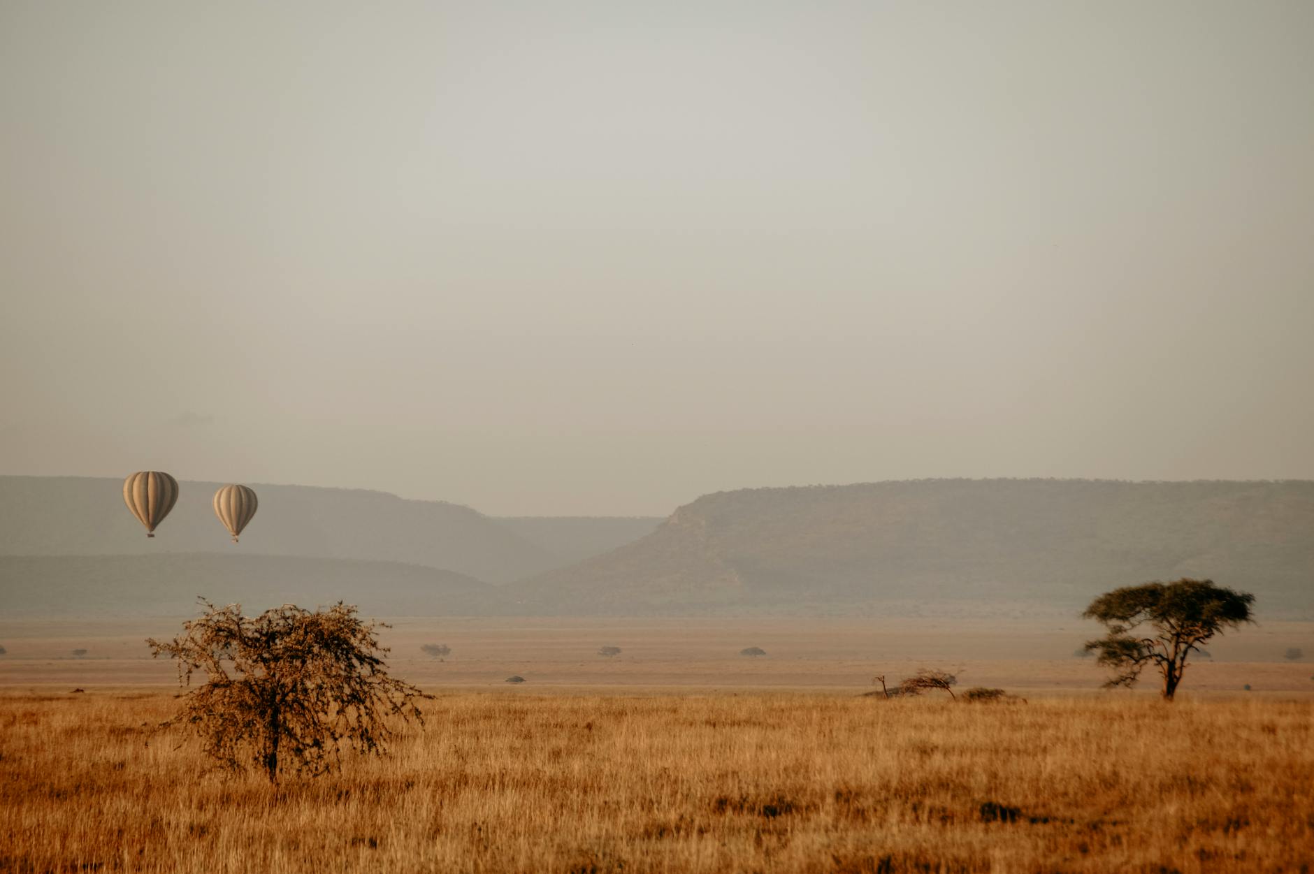 Serengeti, Tanzania + Zanzibar