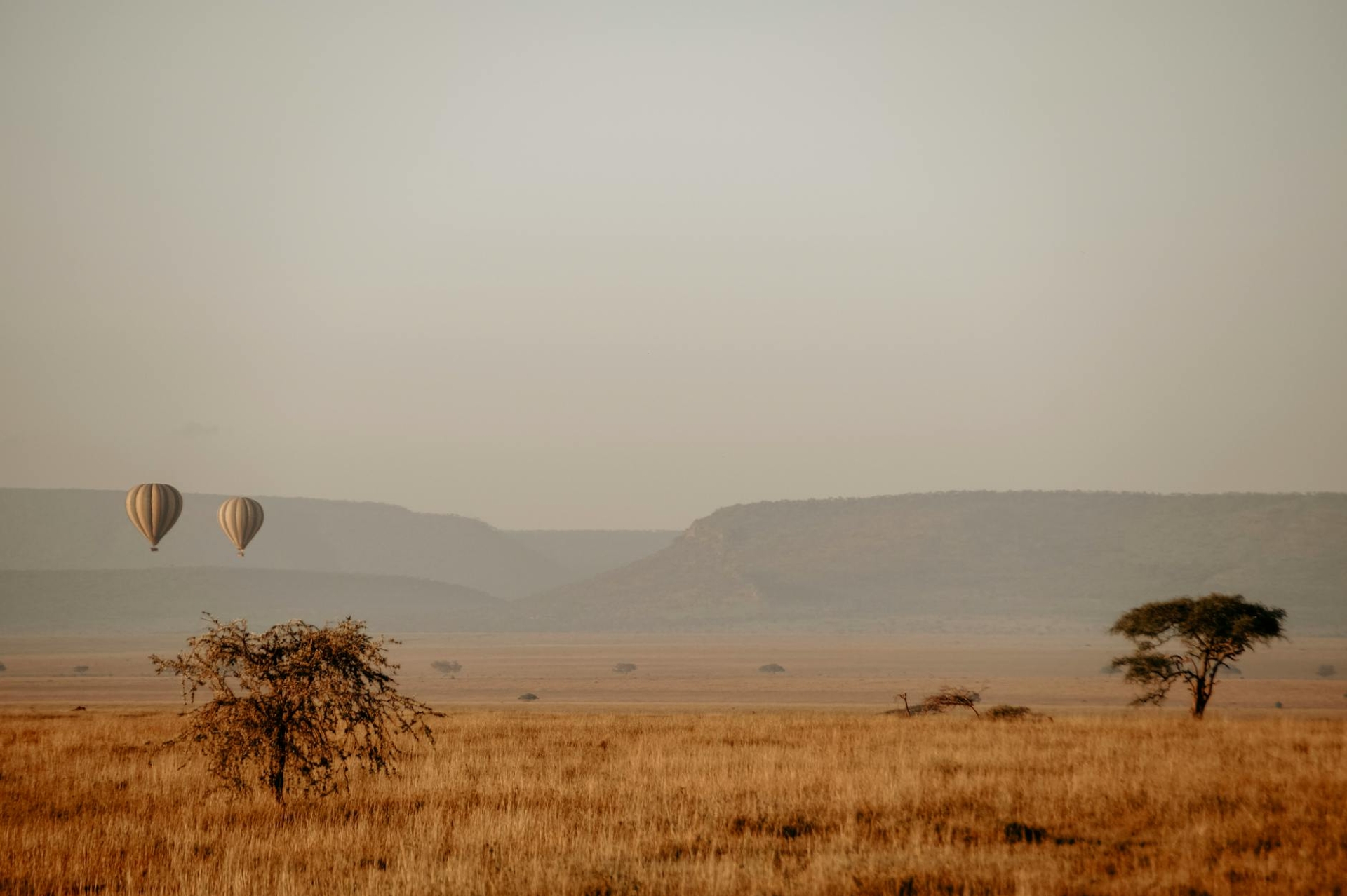 Serengeti, Tanzania + Zanzibar