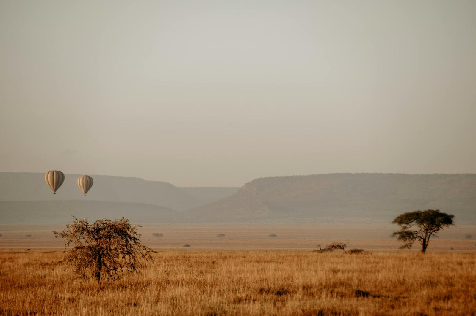 Serengeti, Tanzania + Zanzibar