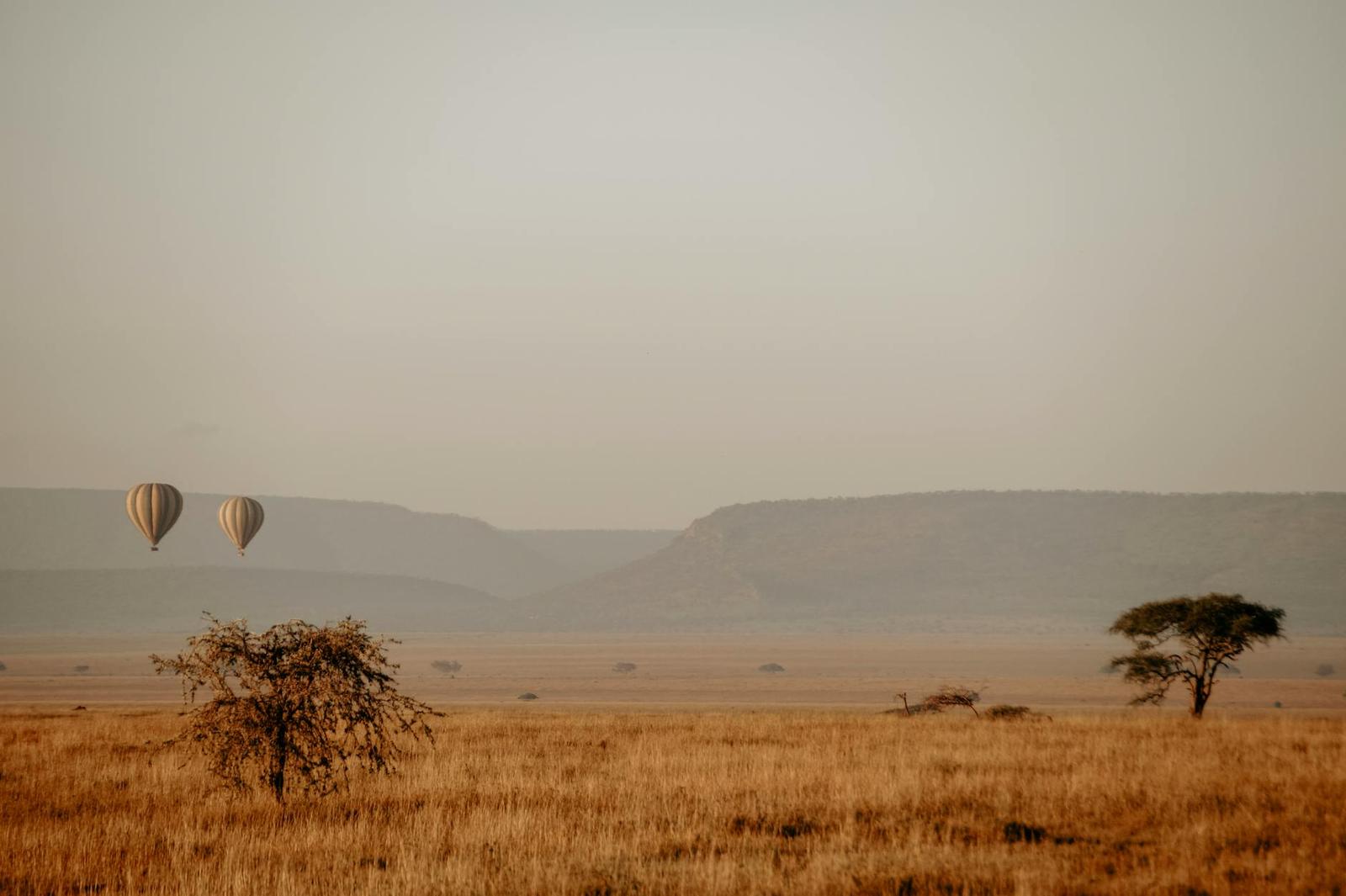 Serengeti, Tanzania + Zanzibar