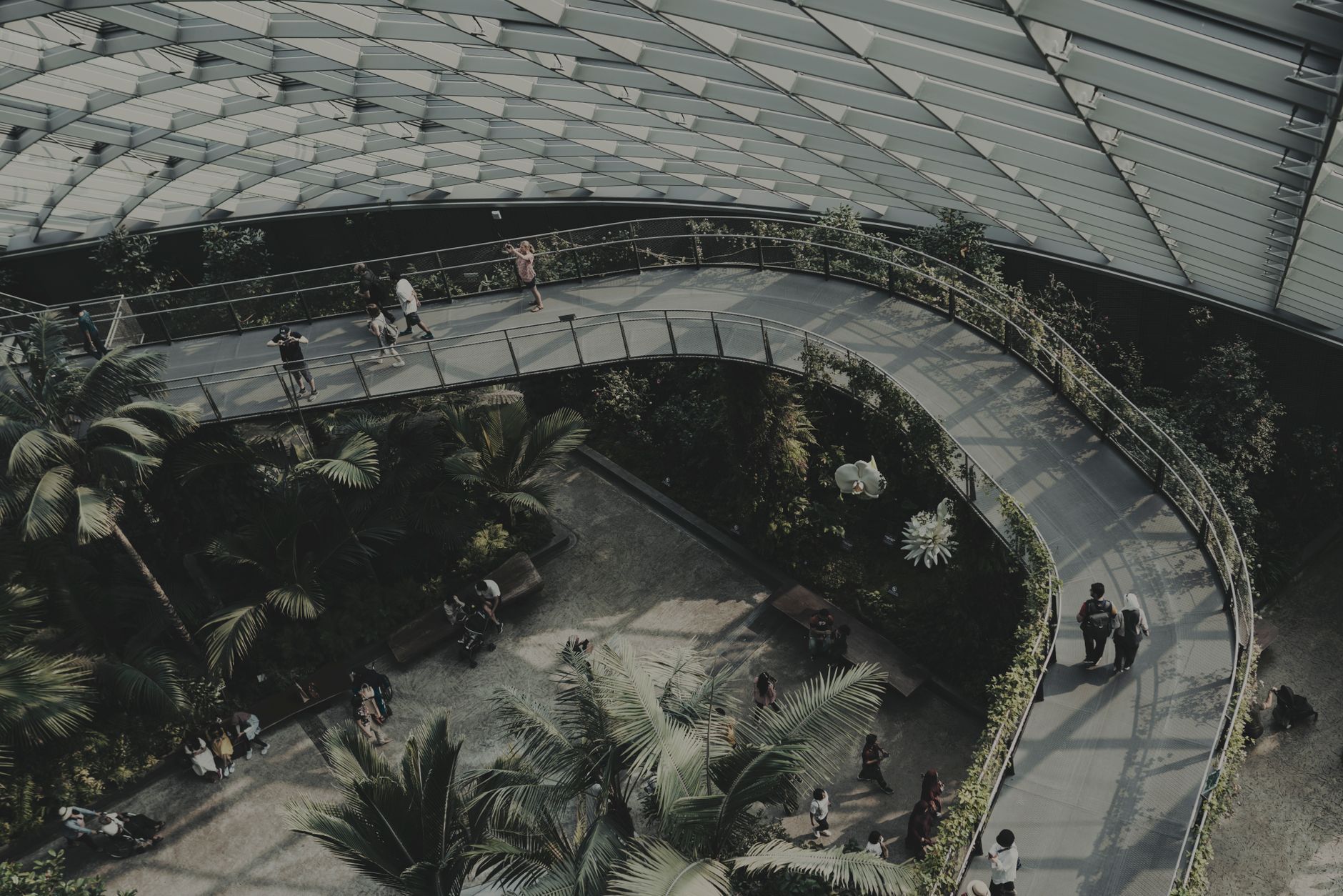 Walk through aviary — Singapore