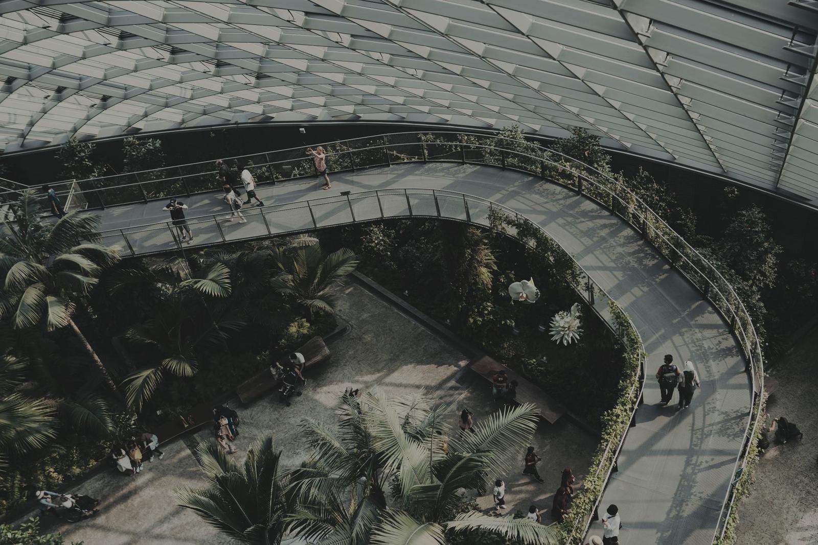 Walk through aviary — Singapore