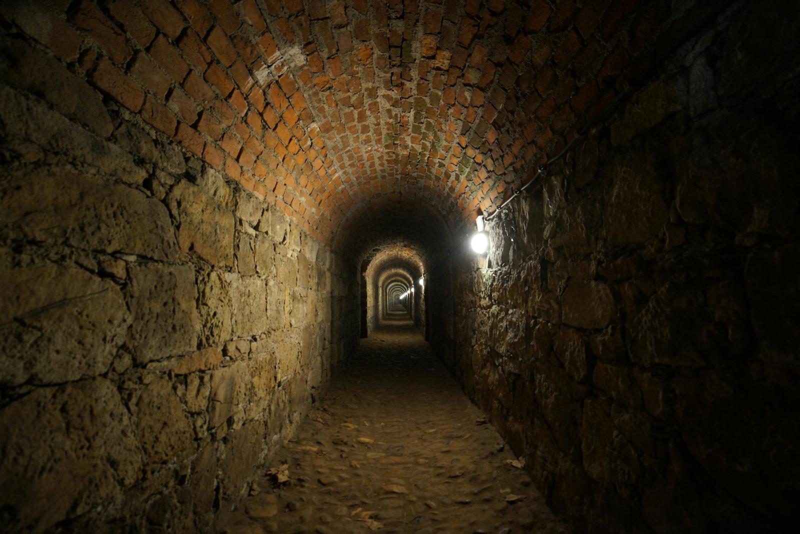 A dimly lit brick vaulted tunnel corridor receding into darkness
