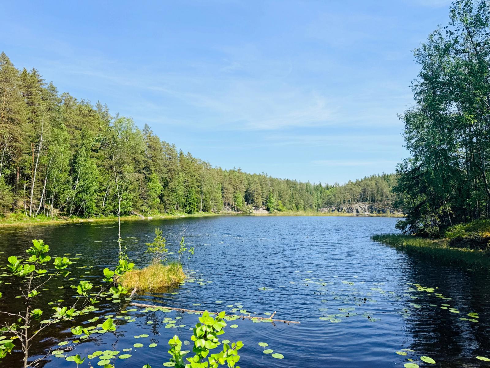 Tranquil lake surrounded by lush forest in Nuuksio, Uusimaa, Finland on a sunny day