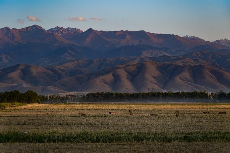 Open Kazakh steppe at dusk