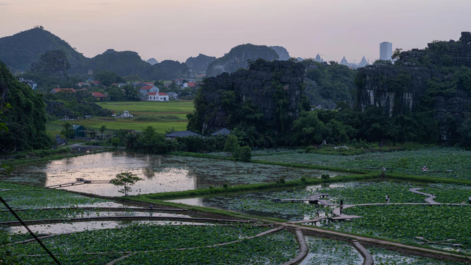 Captivating view of Hanoi's natural landscape, featuring lush rice fields and distant hills at sunset