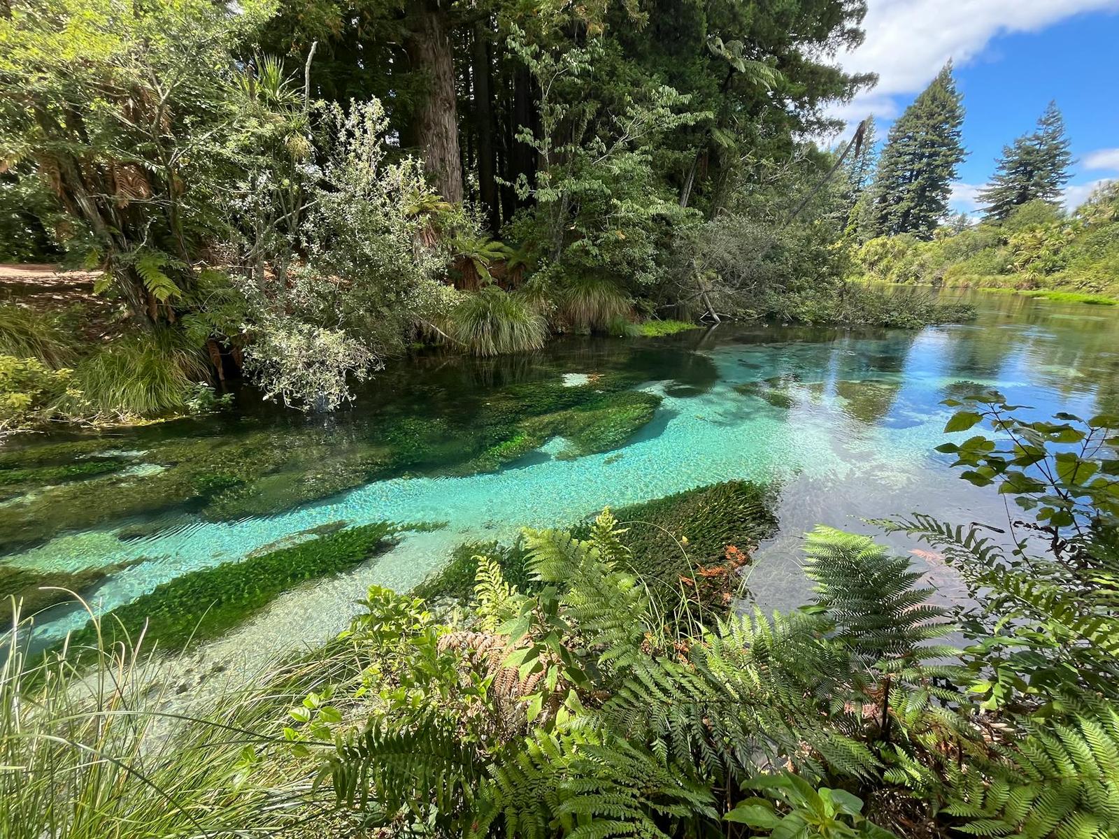Rotorua — Rotorua, Australia