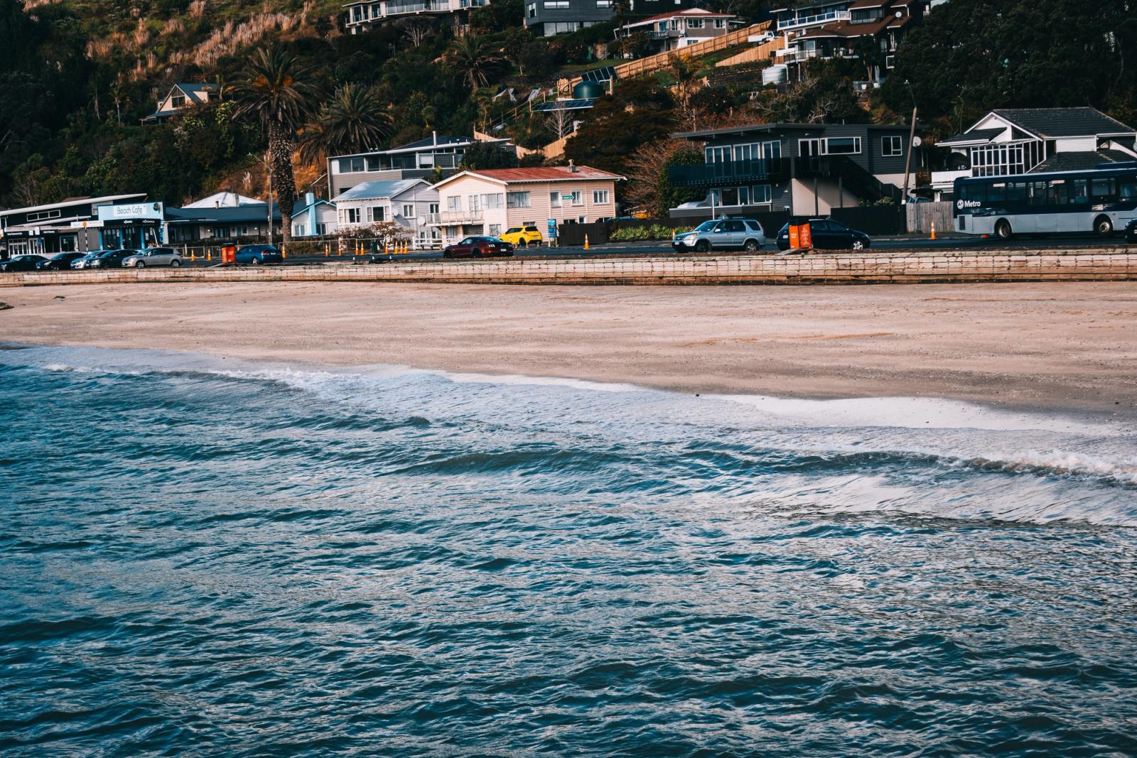 A picturesque view of Auckland's sandy beach with seaside homes lining the coast