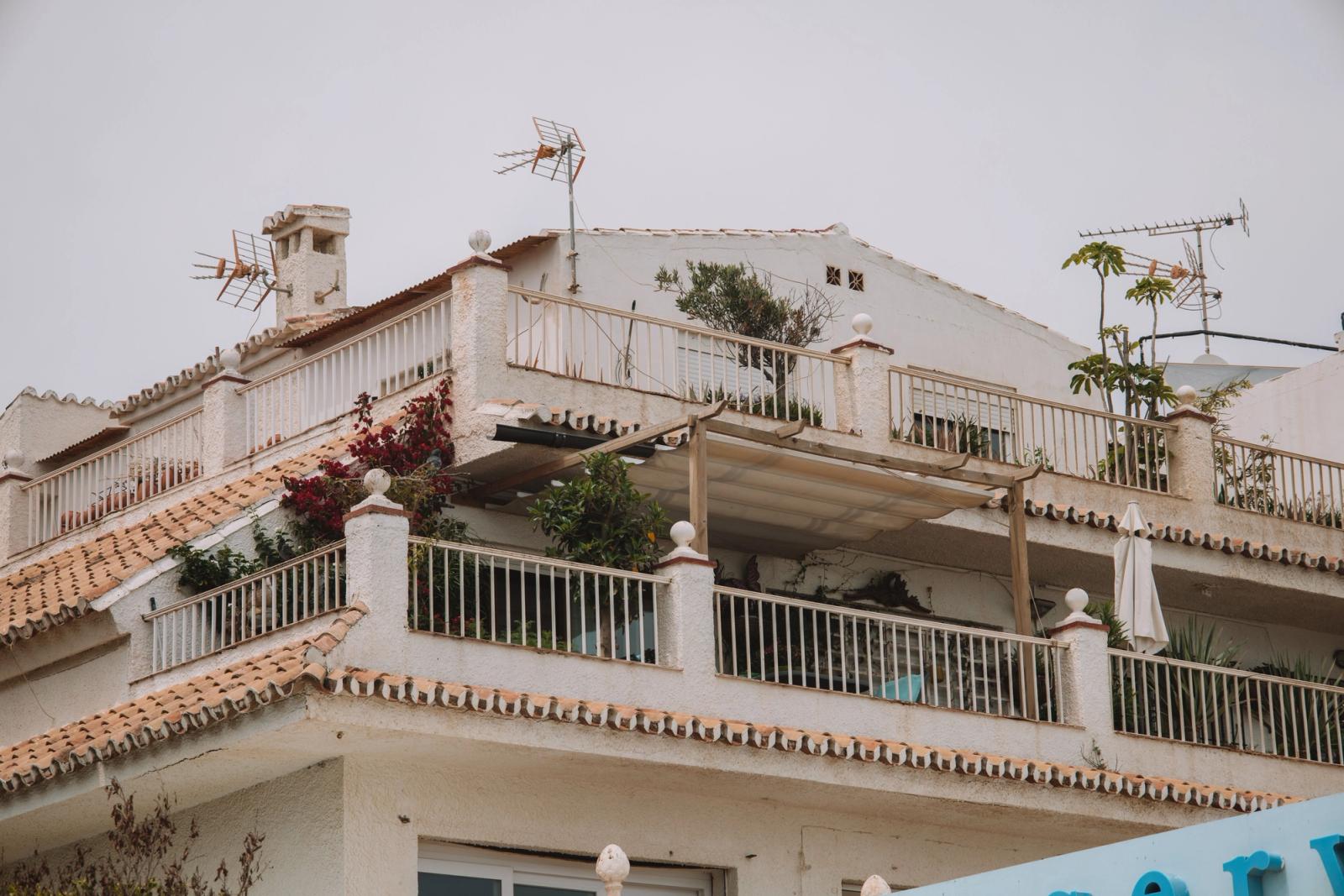 A serene view of a classic Spanish rooftop terrace with plants in Málaga, Spain