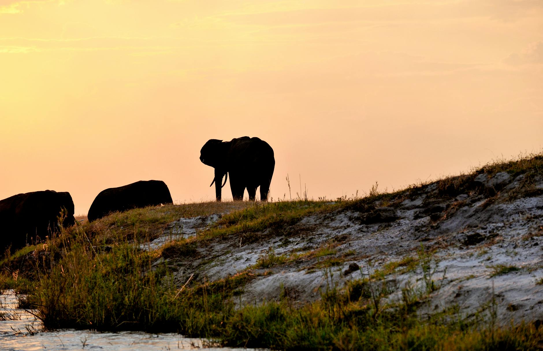 Chobe National Park — Botswana
