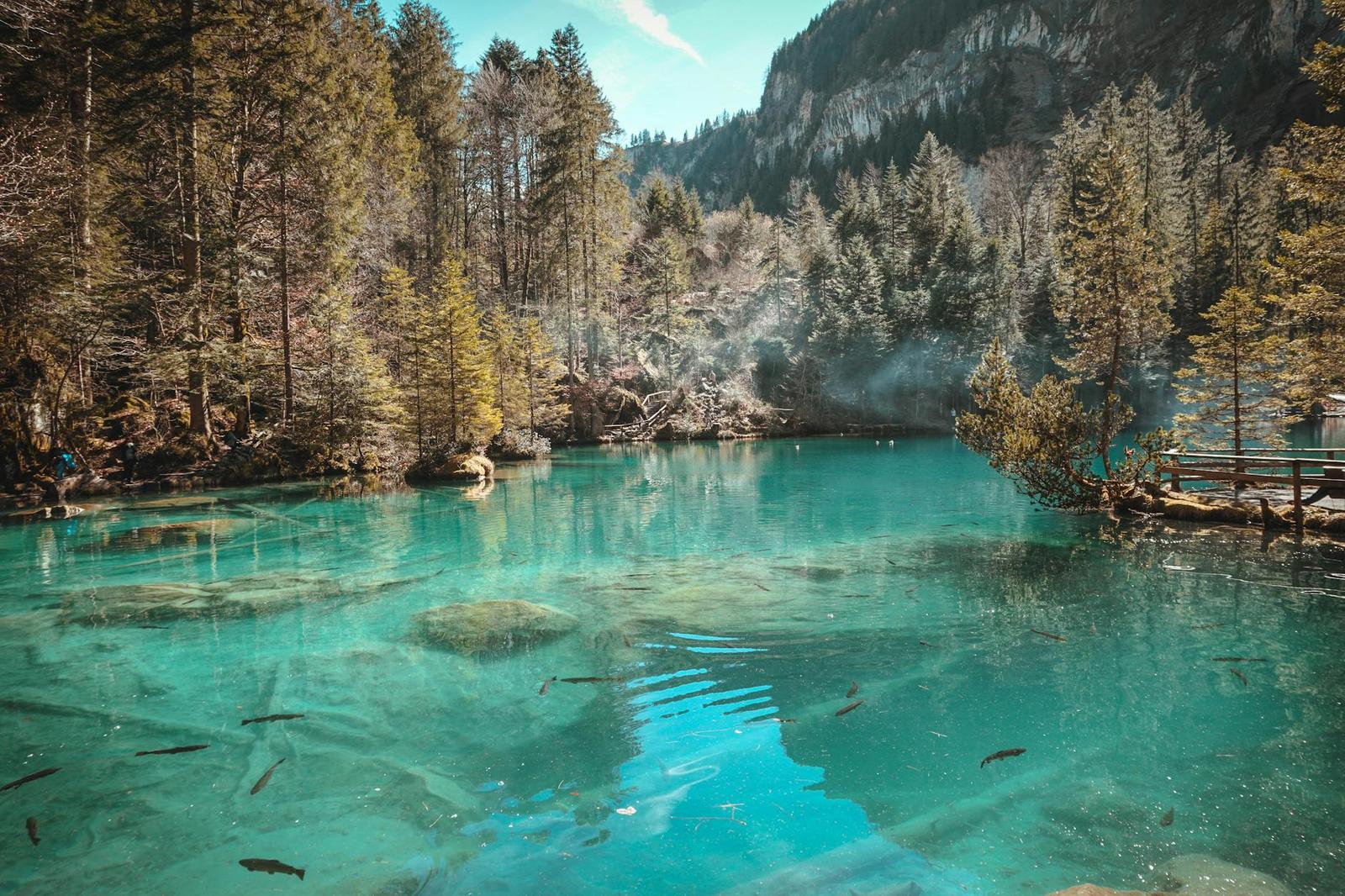 Visit Blausee on day 6, Italy + Switzerland + France + Netherlands + Belgium