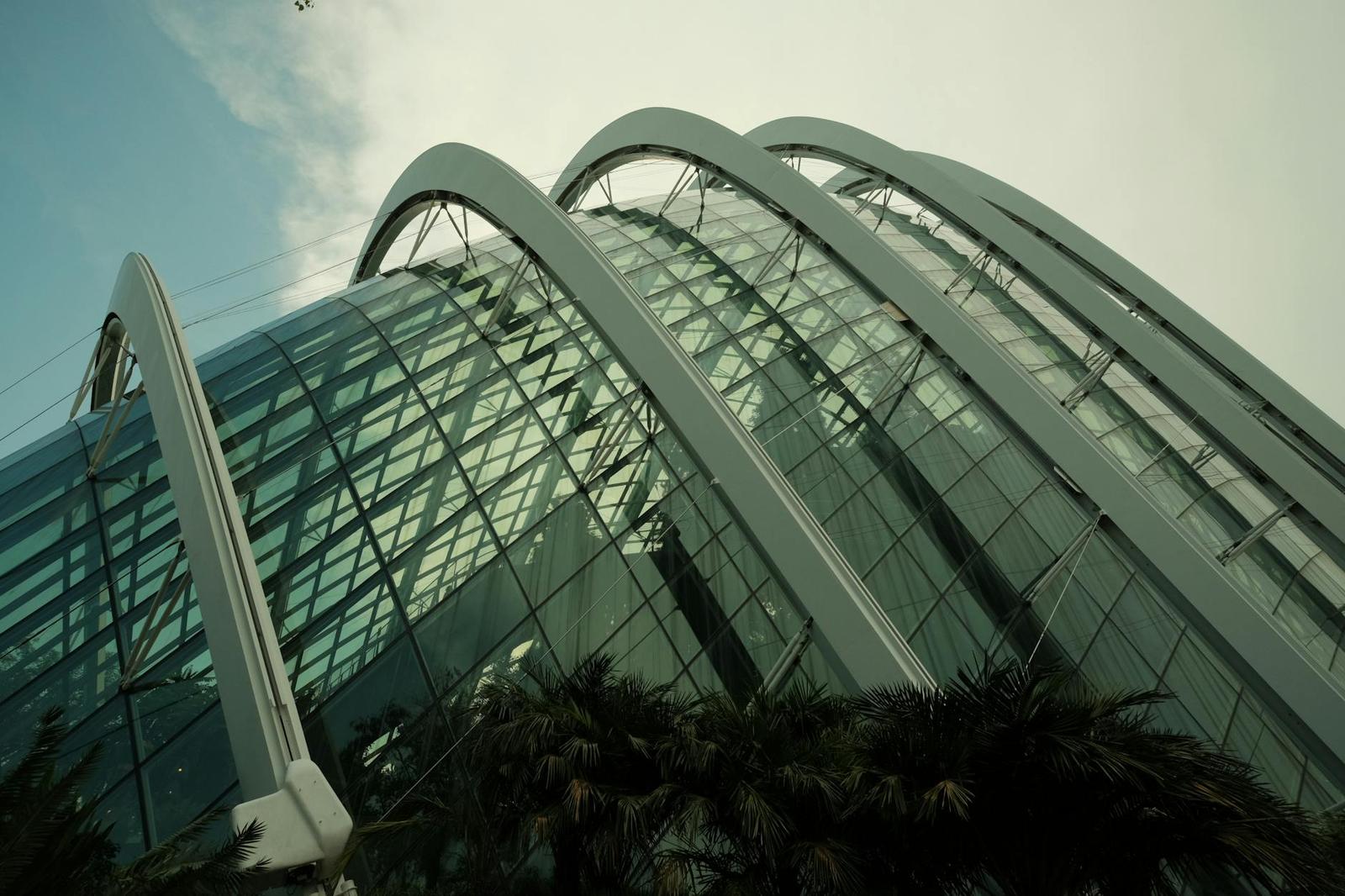 Gardens on day 4, Singapore