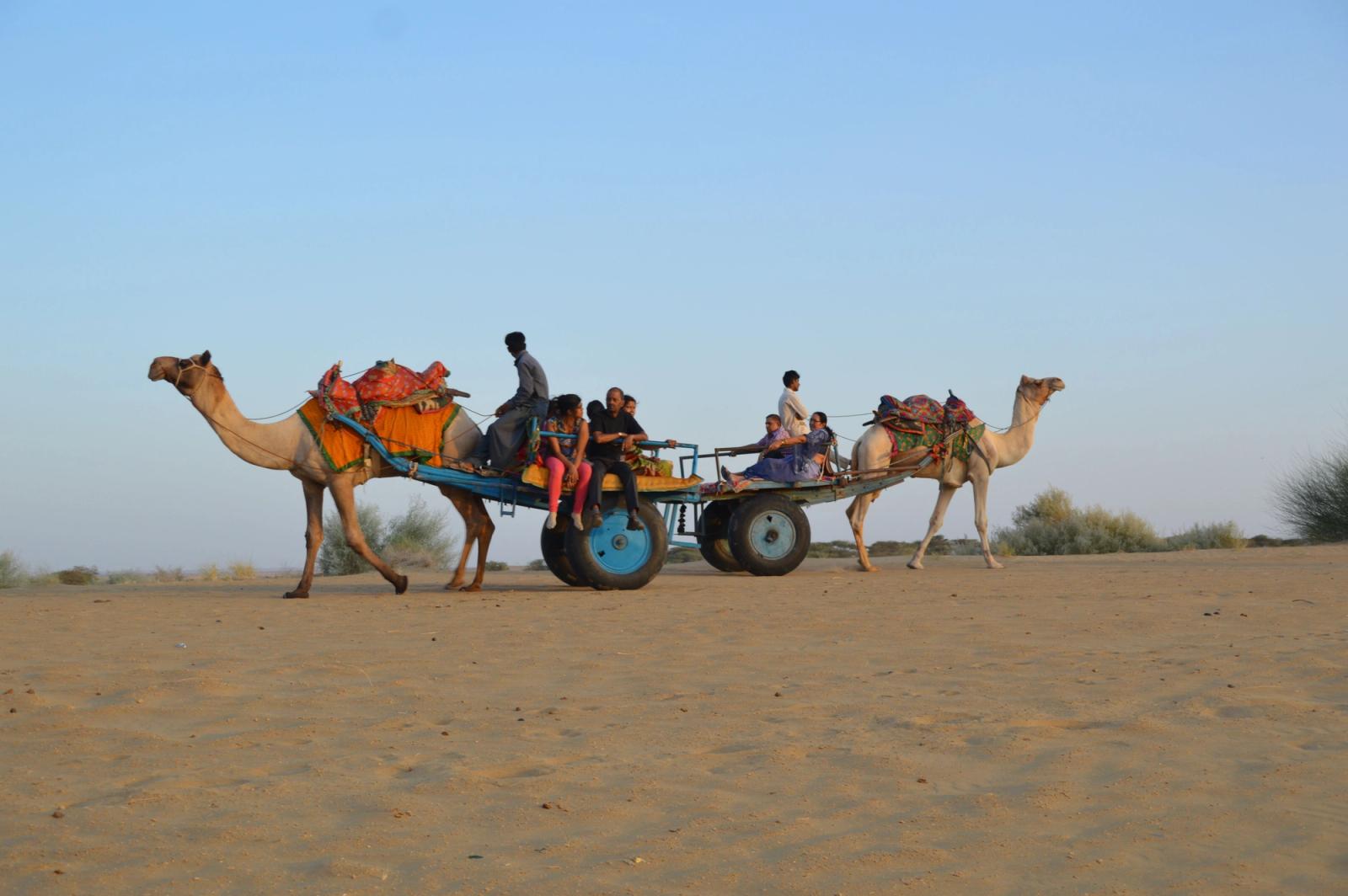 A group enjoys a camel cart ride through the picturesque sand dunes of Jaisalmer, India