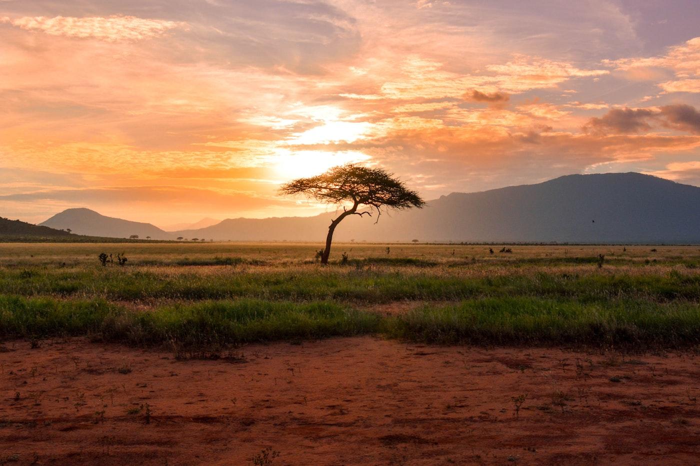 Tanzania, Serengeti reward journey
