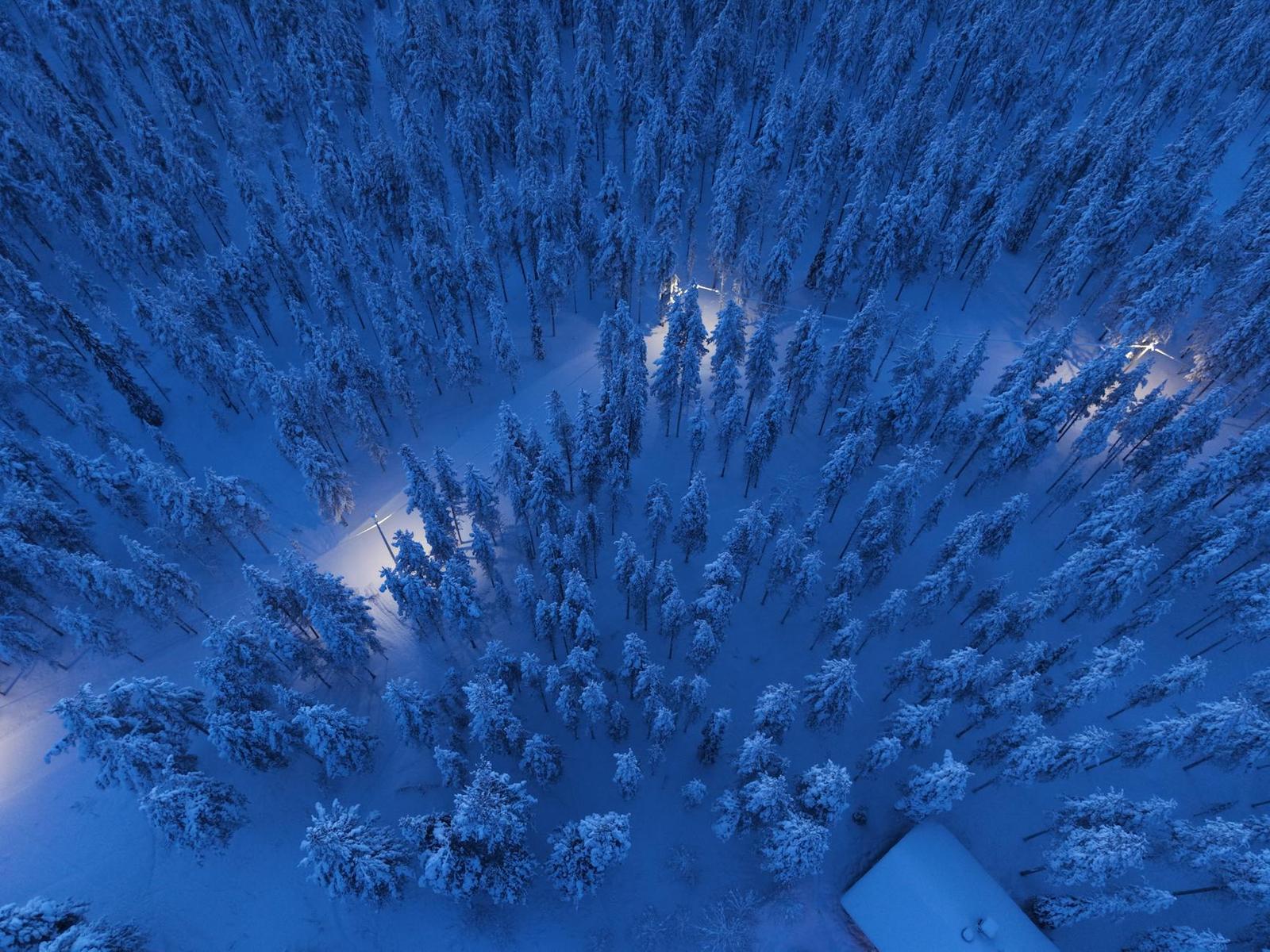 Glass Igloo Northern Lights — Finland