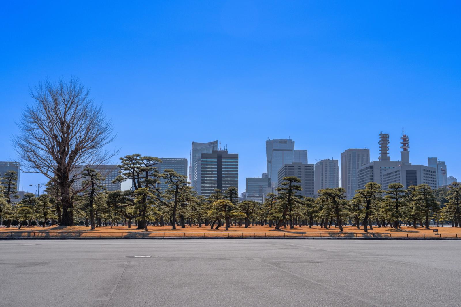 Panoramic view of Tokyo skyline above the serene Imperial Palace Gardens