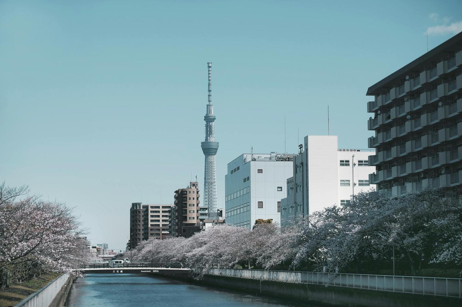 Tokyo 3d Teamlab & Sky Tree, Japan
