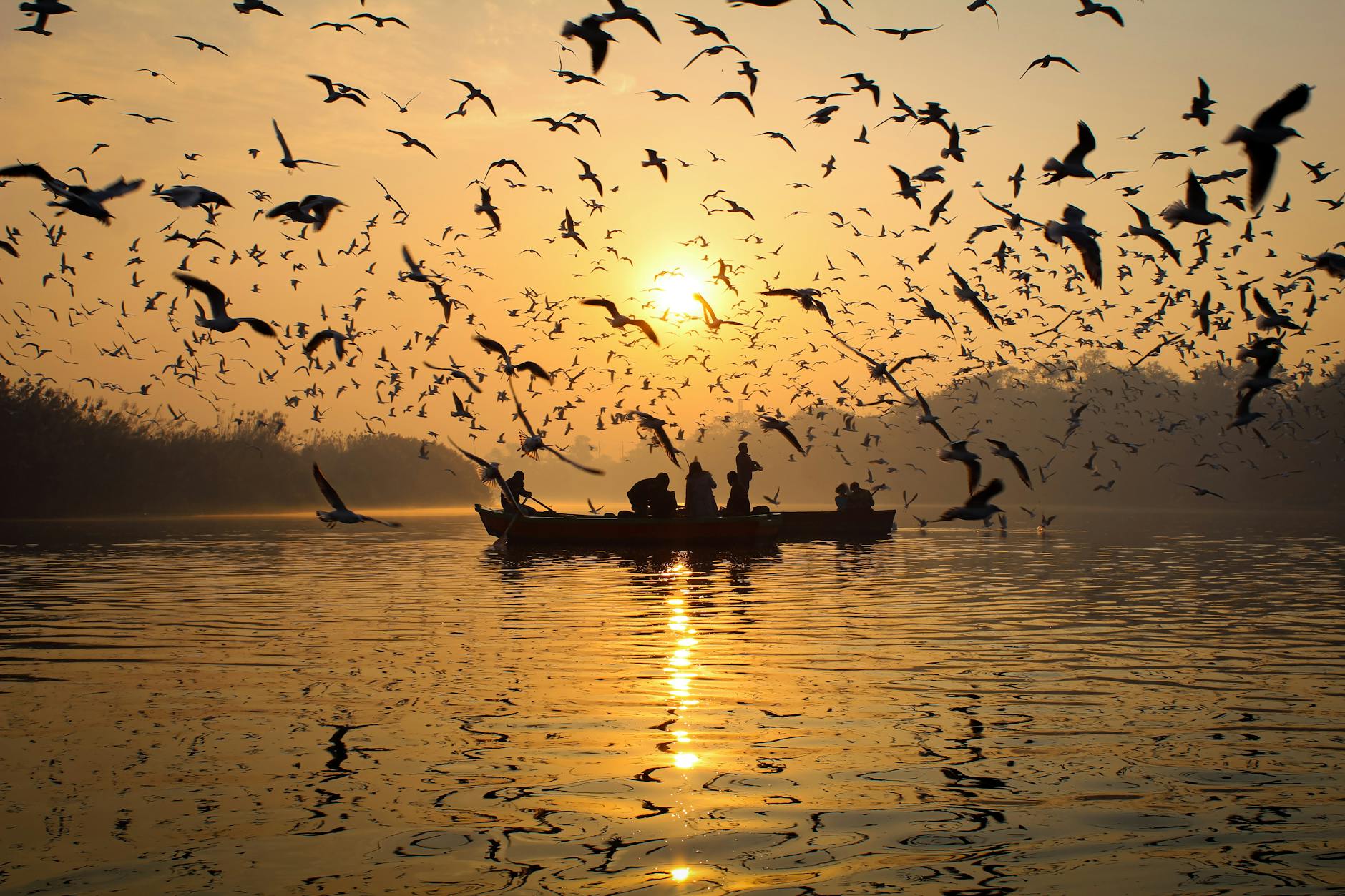 India at golden hour