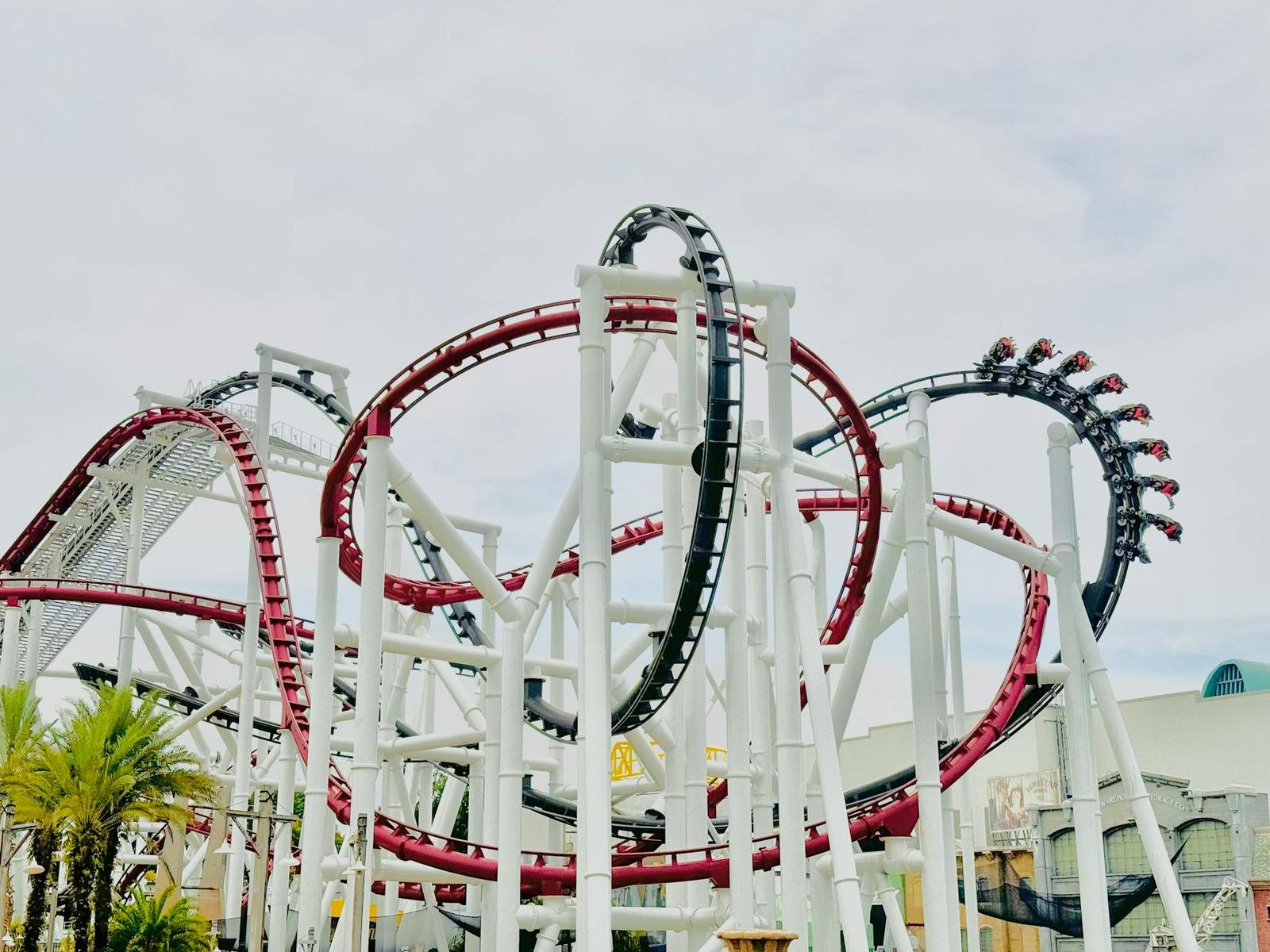 A red and black roller coaster looping above palm trees against an overcast sky