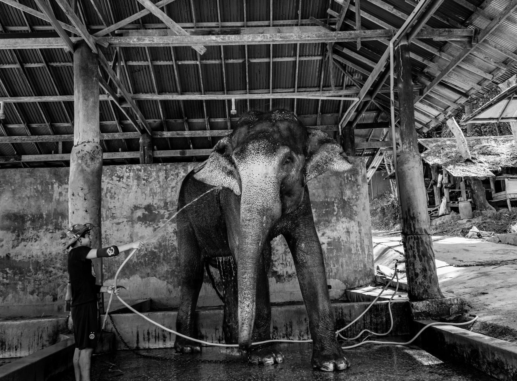 Elephant Beach — Havelock, India