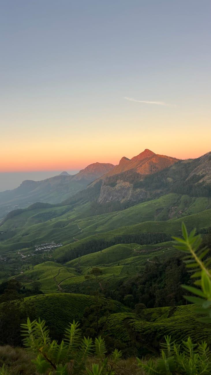 Munnar Thekkady — Kerala, India
