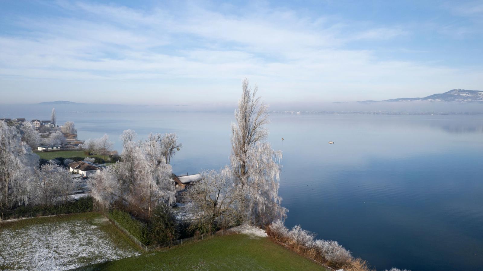 A tranquil winter landscape of Lake Zurich in Altendorf, Switzerland, showcasing frosty trees and a serene lake view