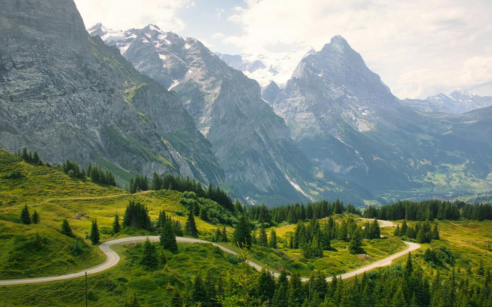 A winding road through a green alpine valley flanked by pine trees and mountains