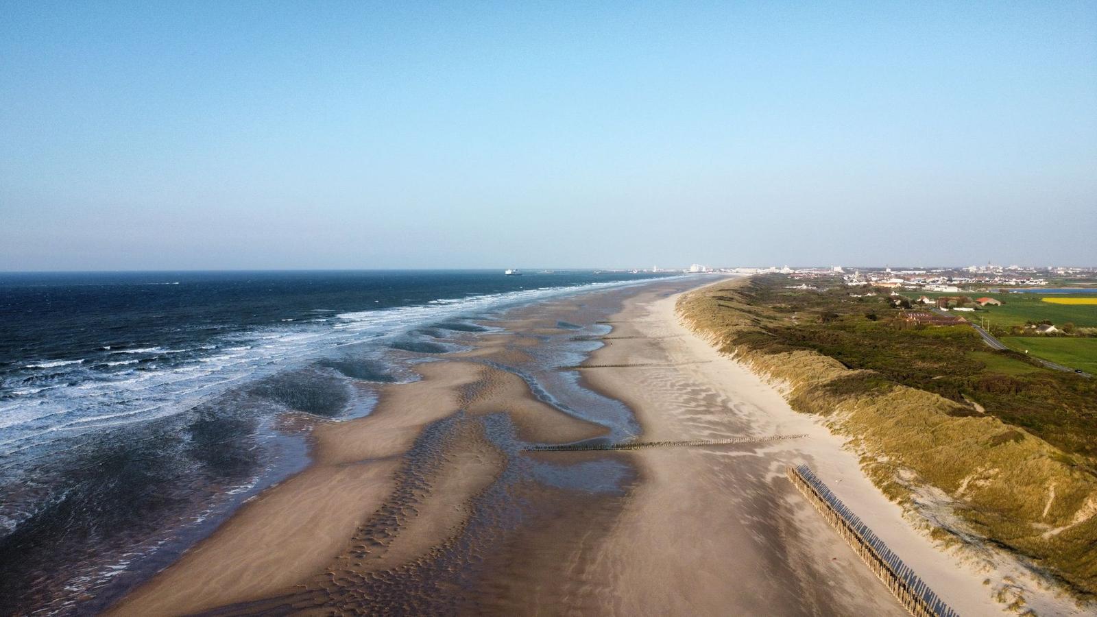 Aerial view of a wide sandy beach and dunes meeting the sea