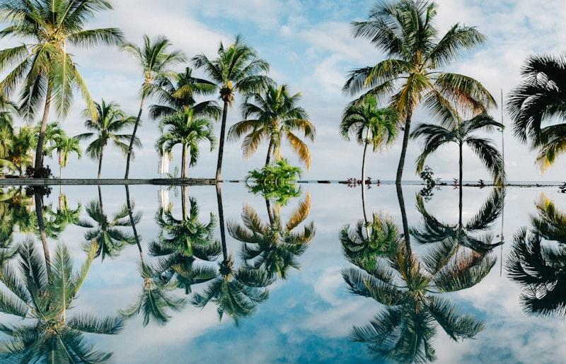 Mauritius beach