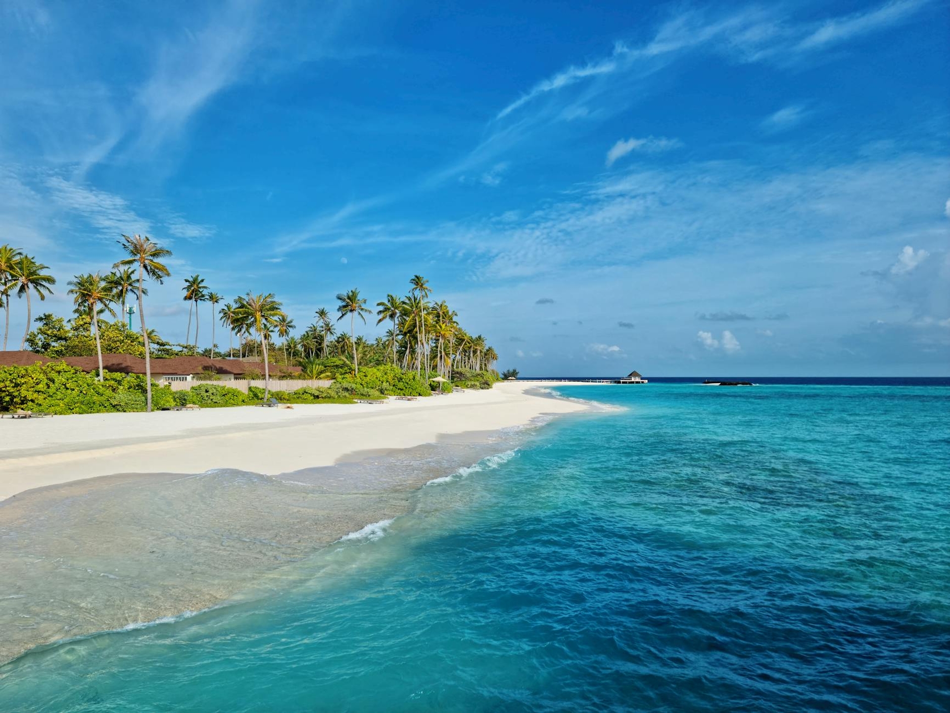 A curved white sand beach lined with palm trees beside turquoise water