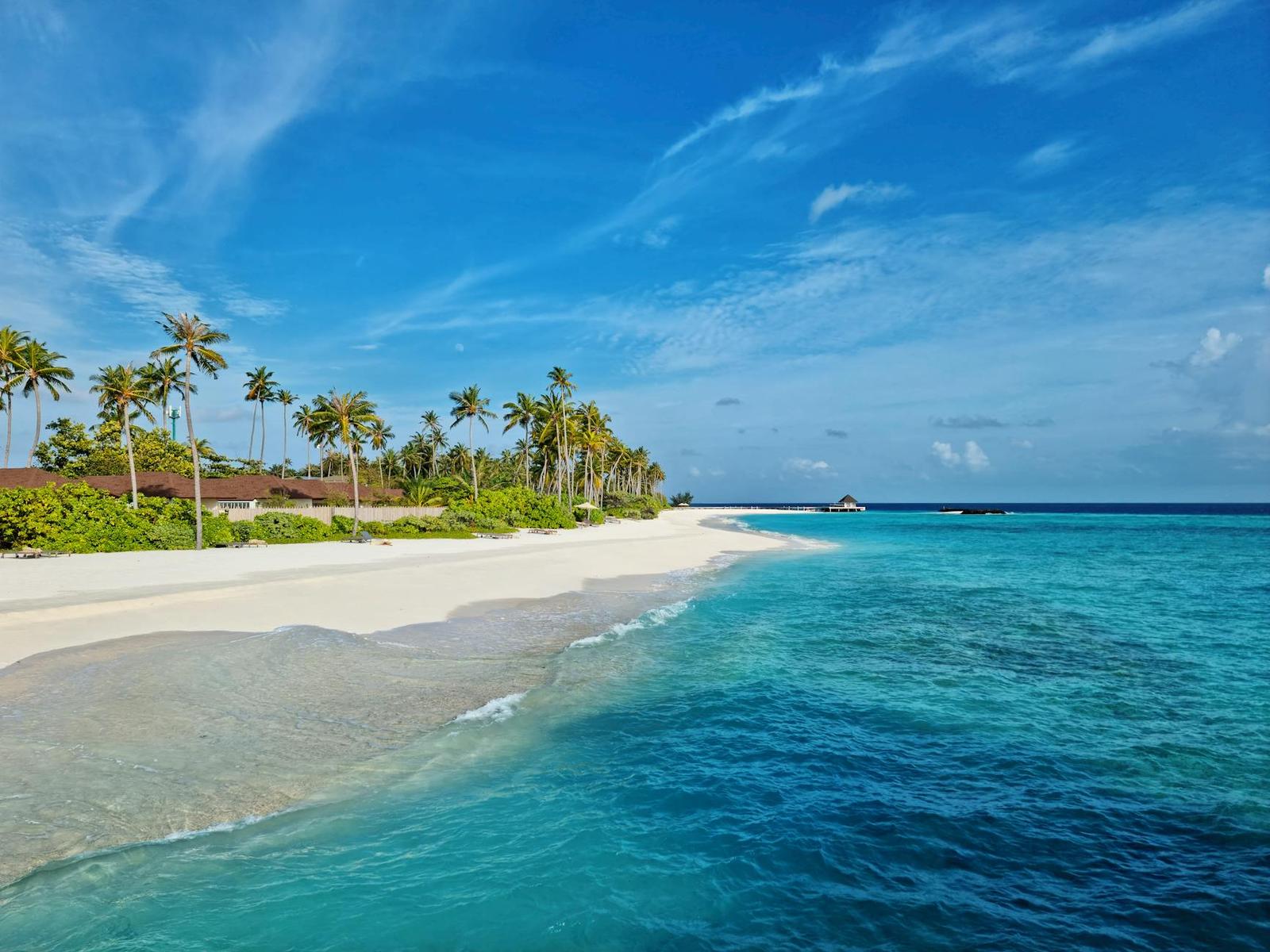 A curved white sand beach lined with palm trees beside turquoise water