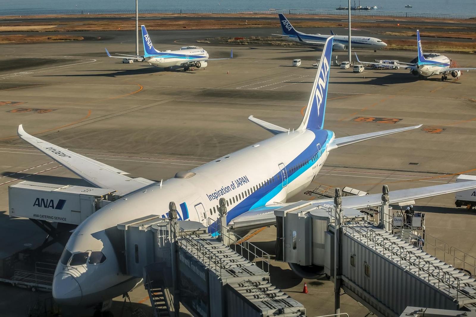 Airliners parked at gates on an airport apron with jet bridges attached
