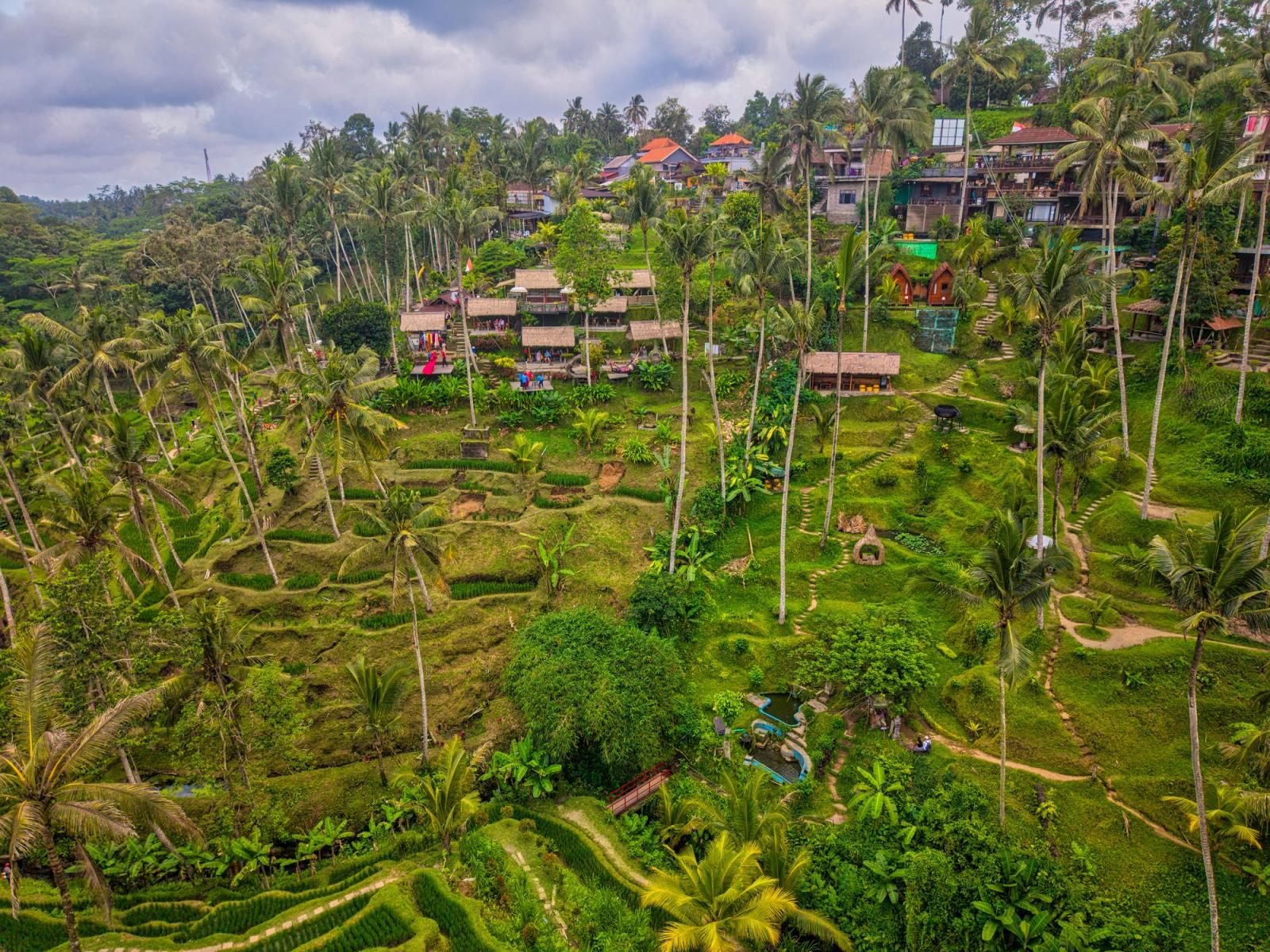 Stunning aerial view of Tegallalang Rice Terraces in Ubud, Bali, showcasing lush greenery and traditional huts