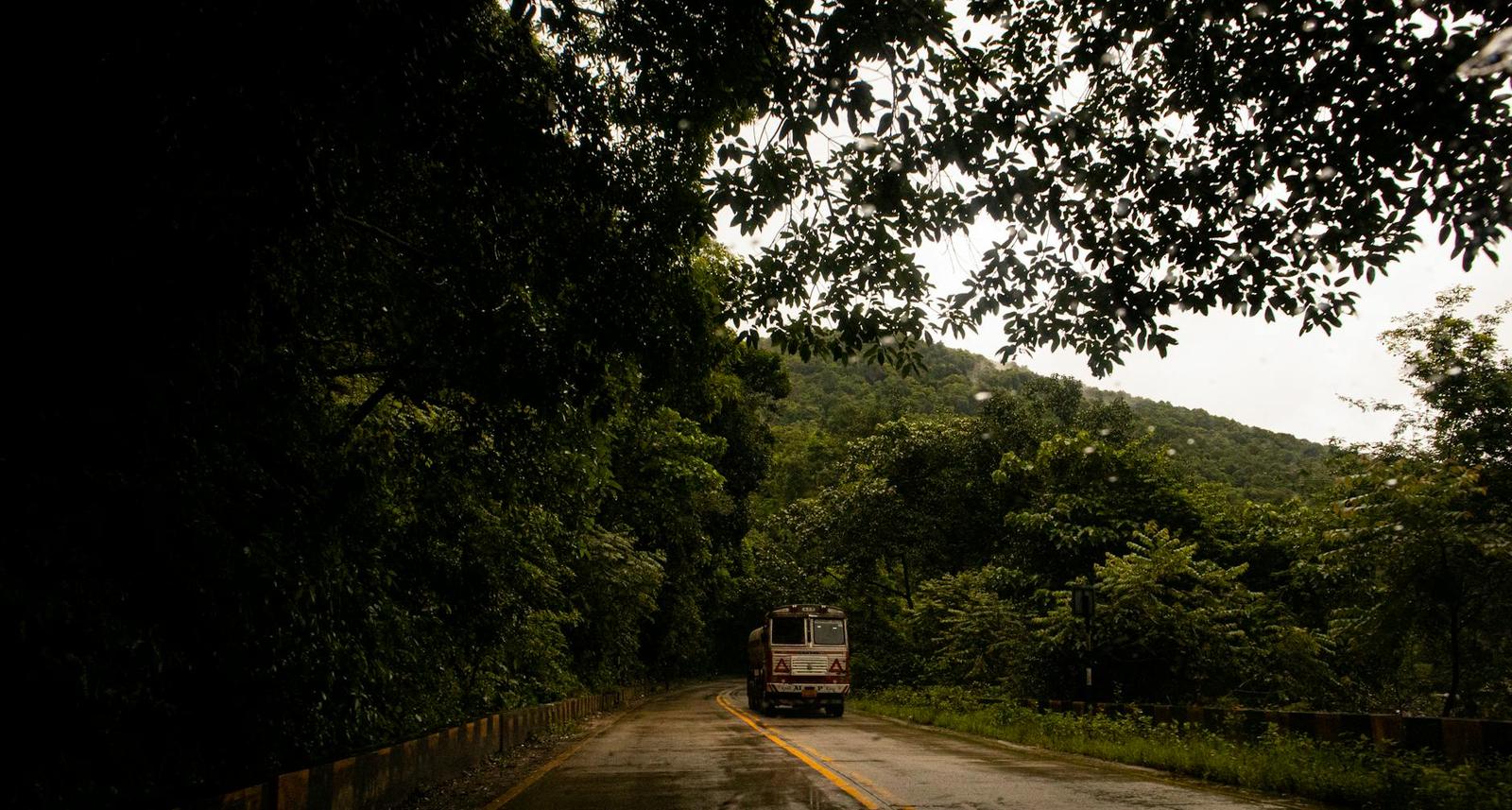 A truck driving down a rain-slicked forest road under a green canopy
