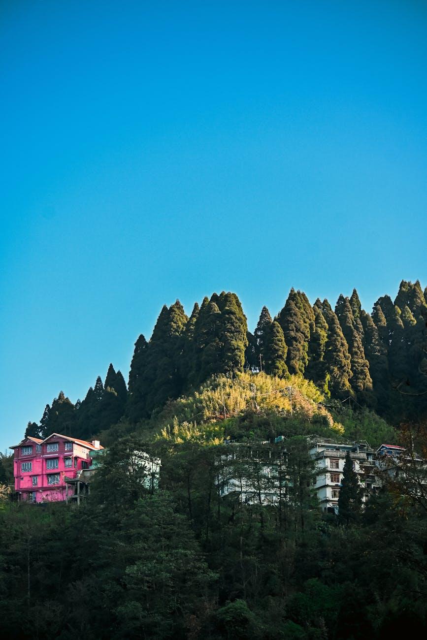 Scenic view of vibrant houses nestled among lush trees on a hillside in Darjeeling, India